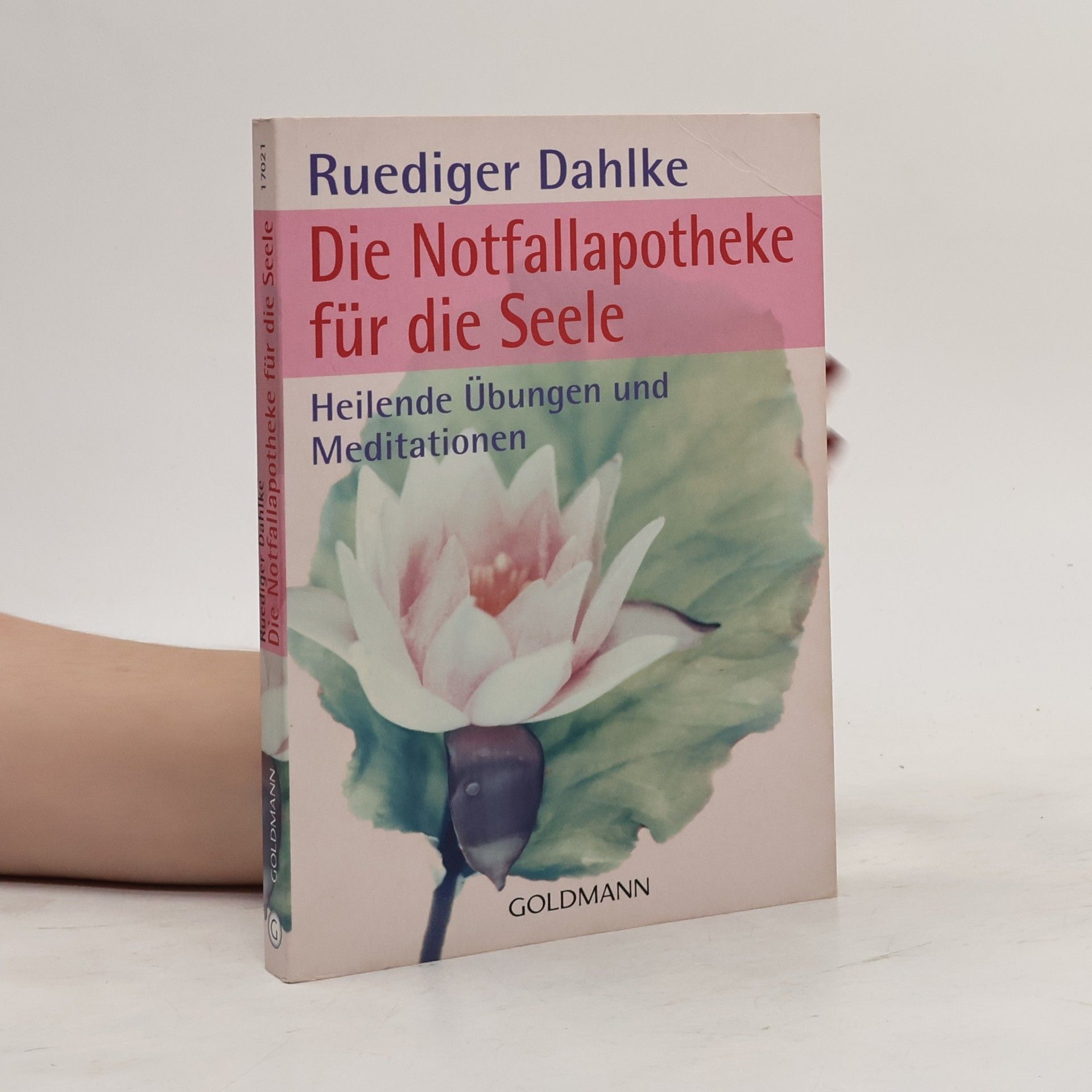 Ruediger Dahlke Die Notfallapotheke für die Seele