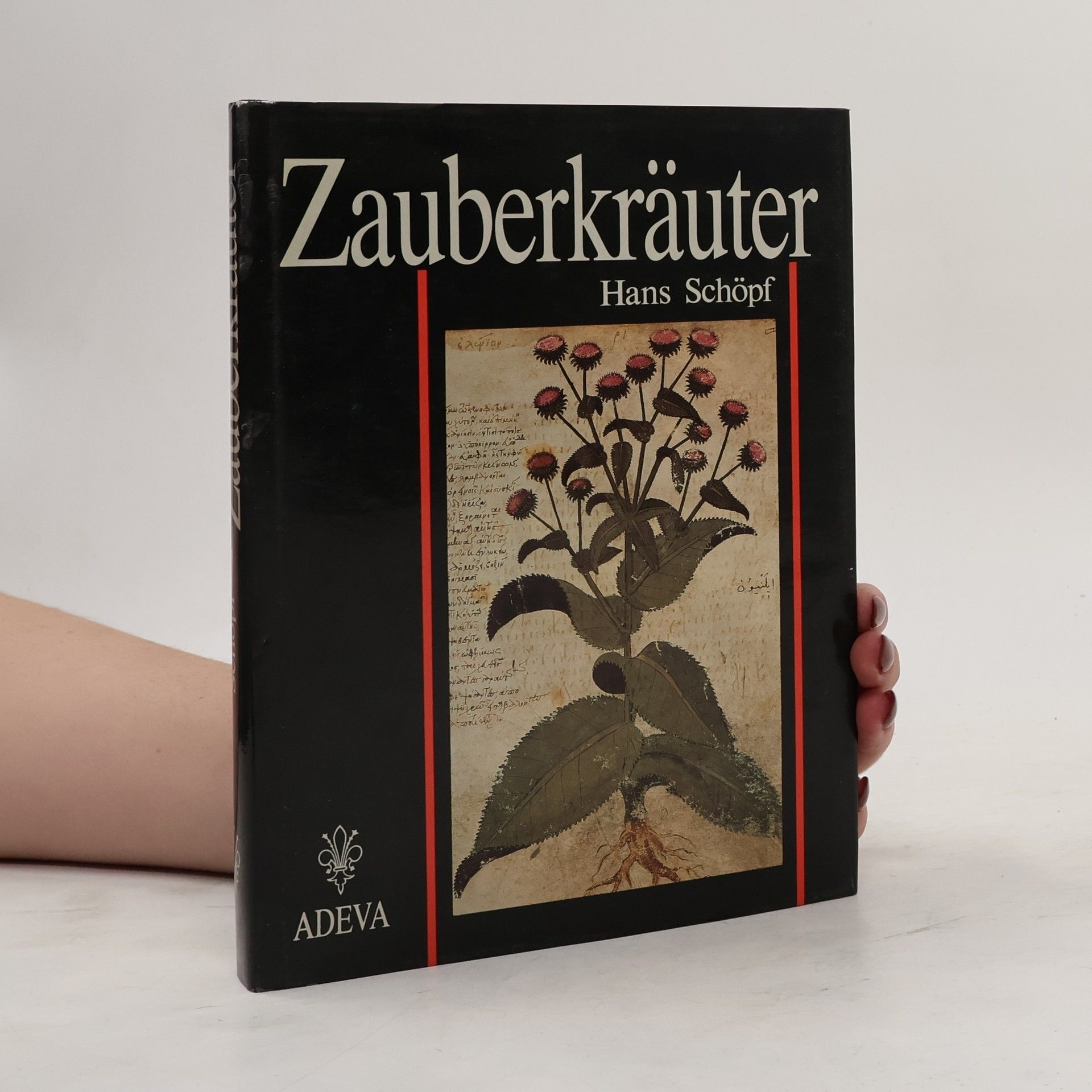 Zauberkräuter
