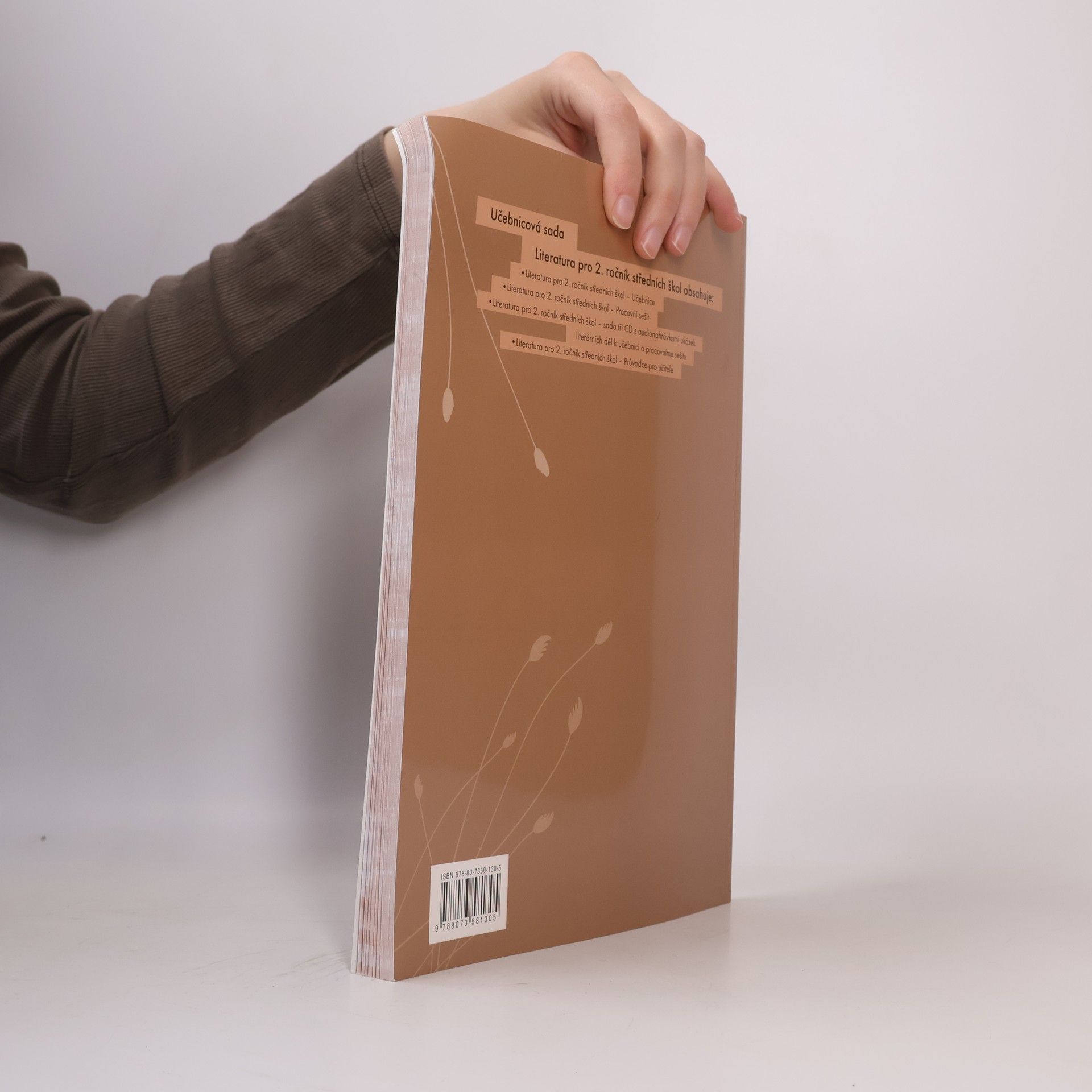 Kolektiv autorů Literatura pro 2. ročník středních škol. Pracovní sešit