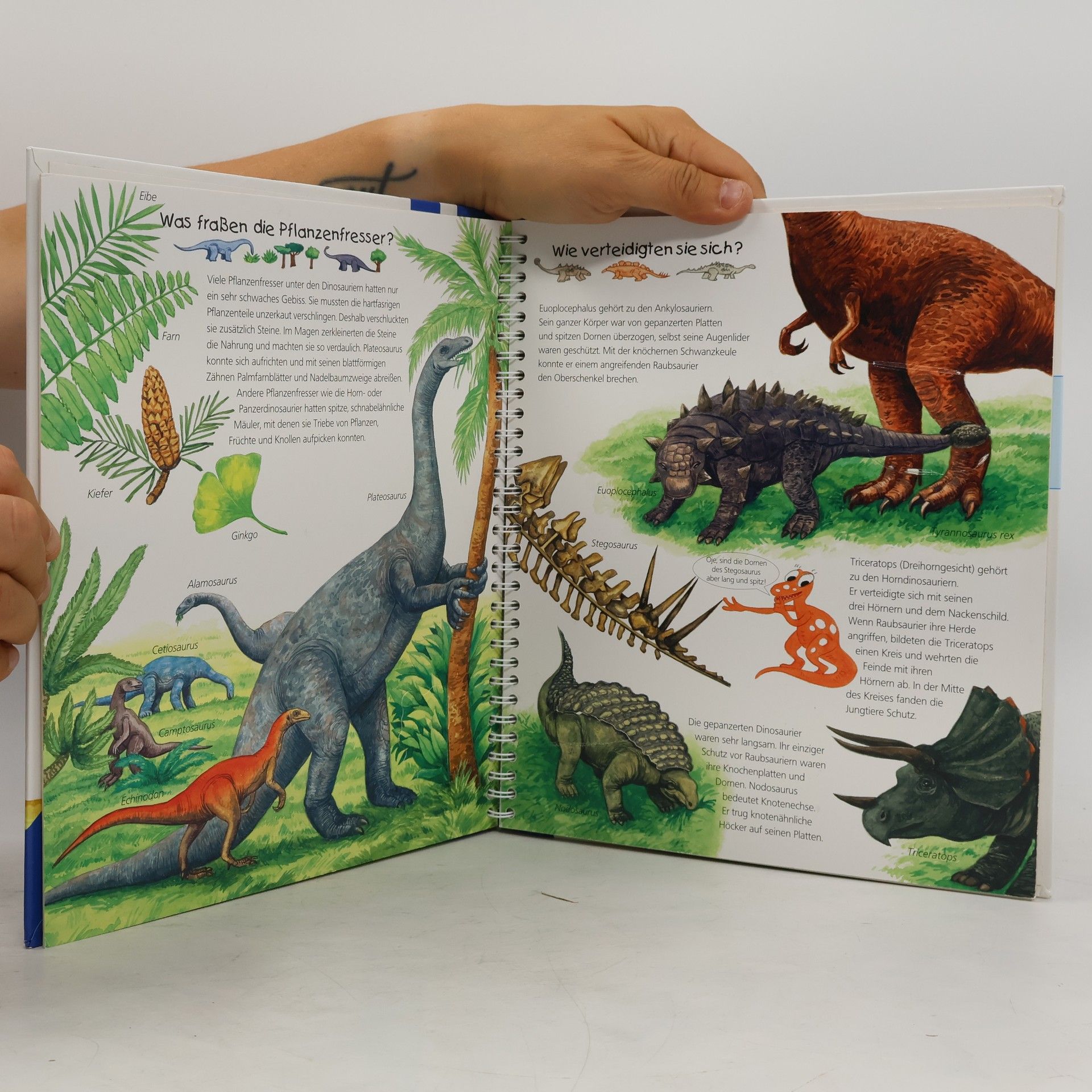 Autores varios Alles über Dinosaurier