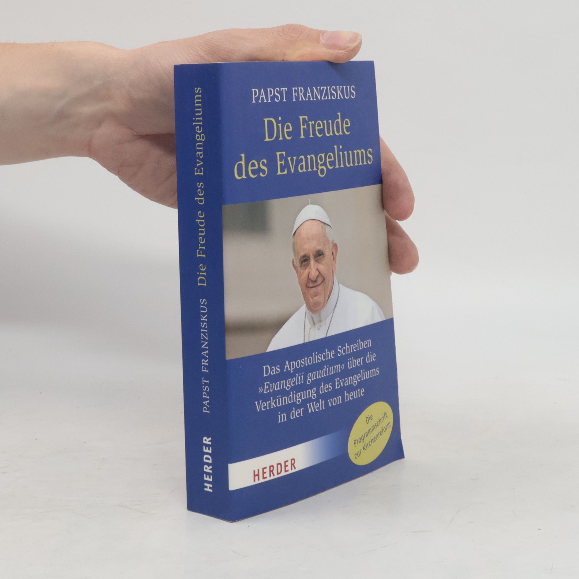 Papež František Die Freude des Evangeliums