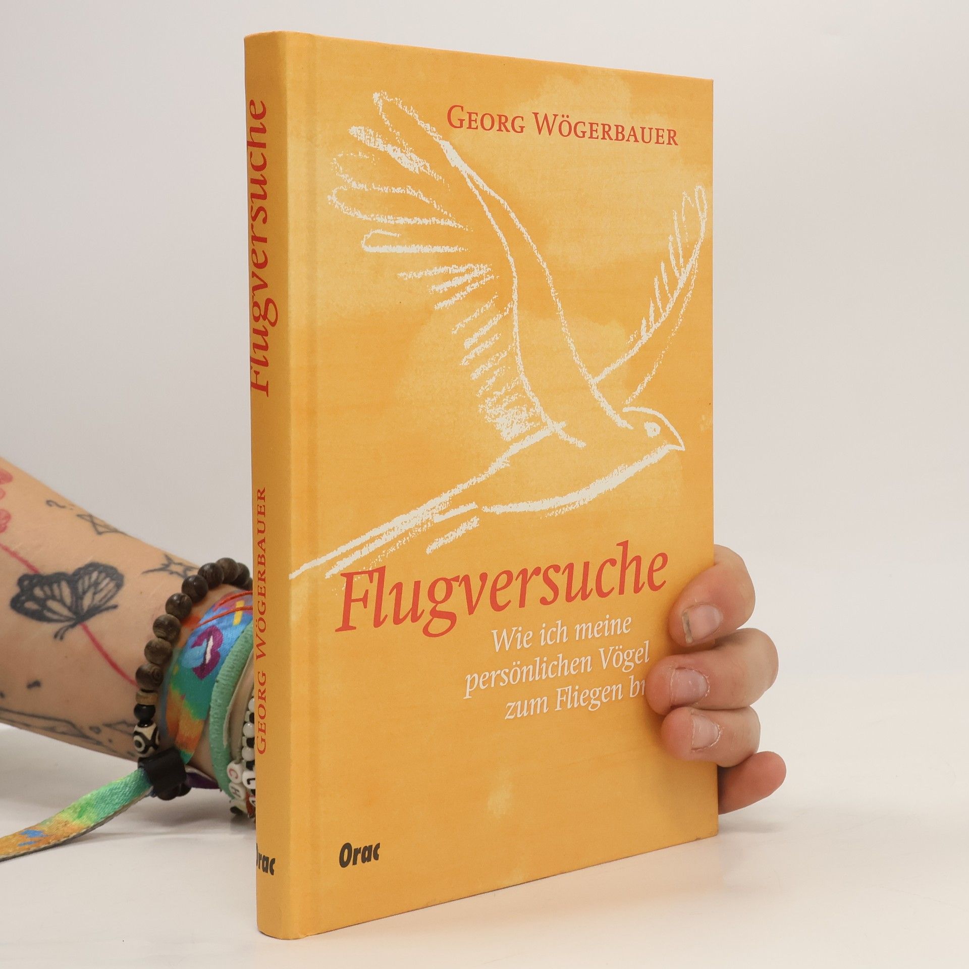 Georg Wögerbauer Flugversuche