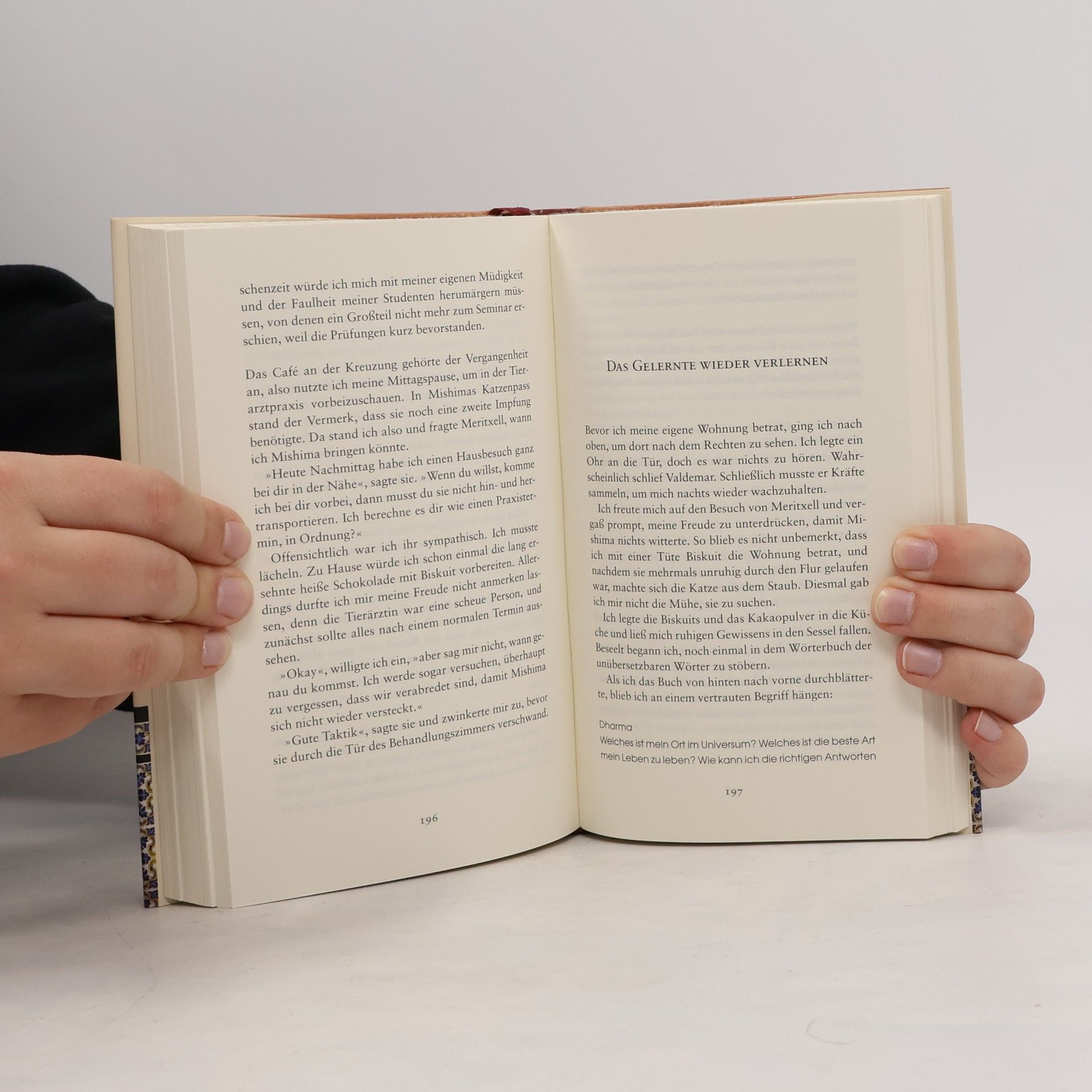 Francesc Miralles Samuel und die Liebe zu den kleinen Dingen