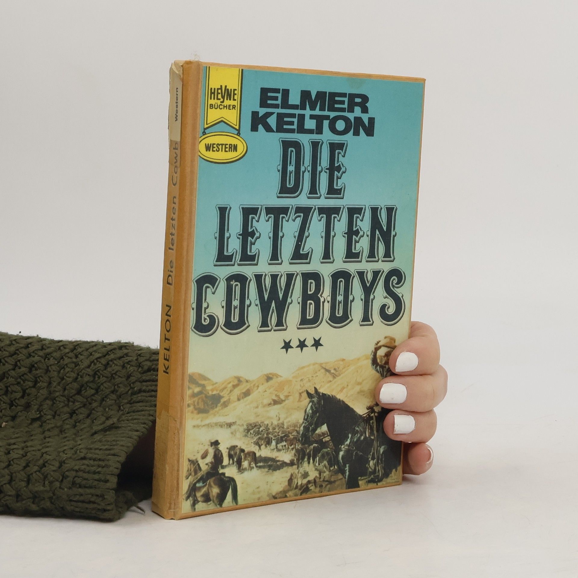 Die letzten Cowboys