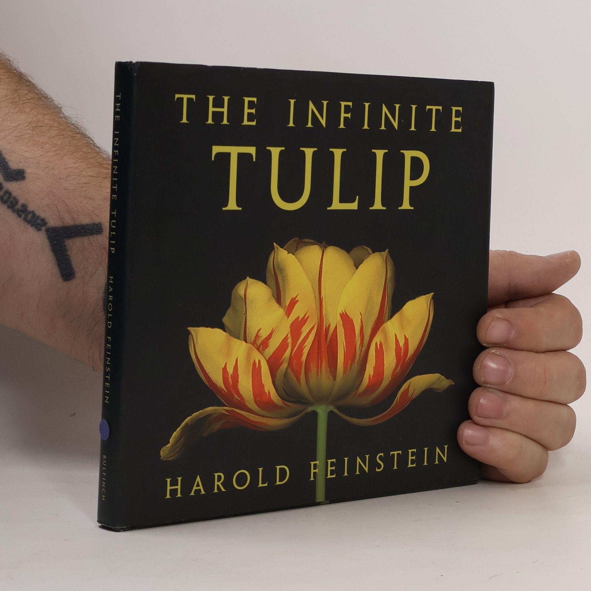 Harold Feinstein The Infinite Tulip