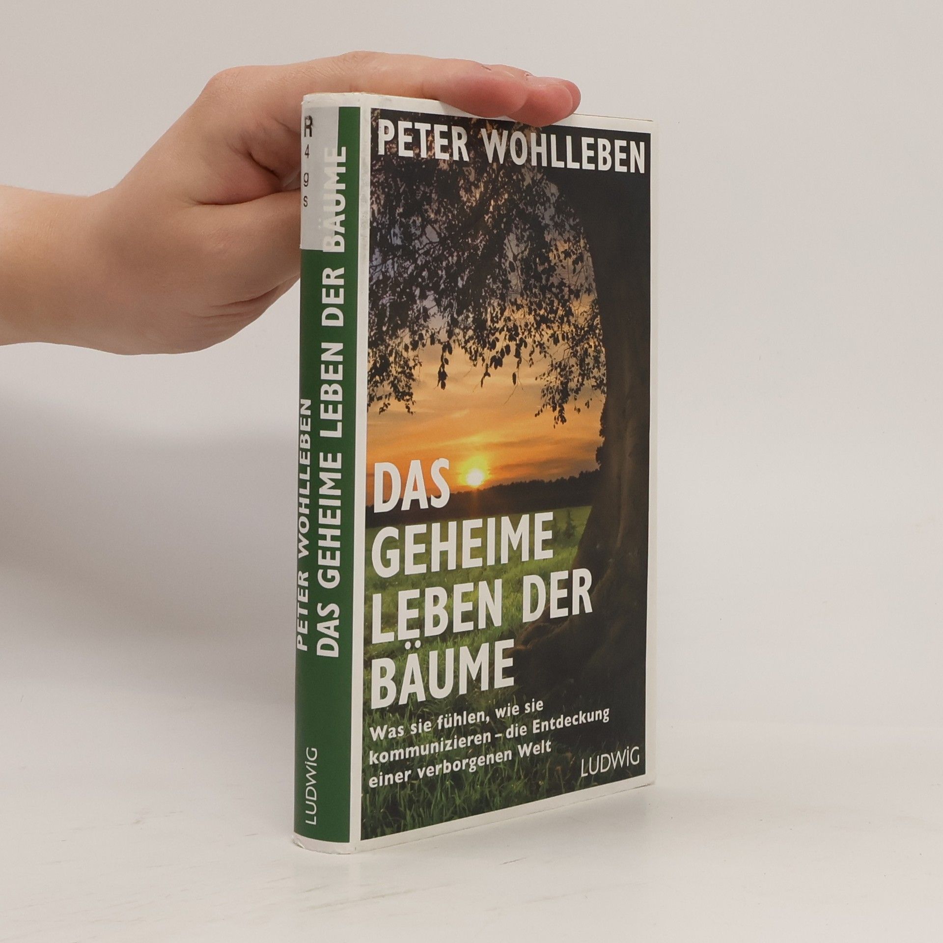 Peter Wohlleben Das geheime Leben der Bäume