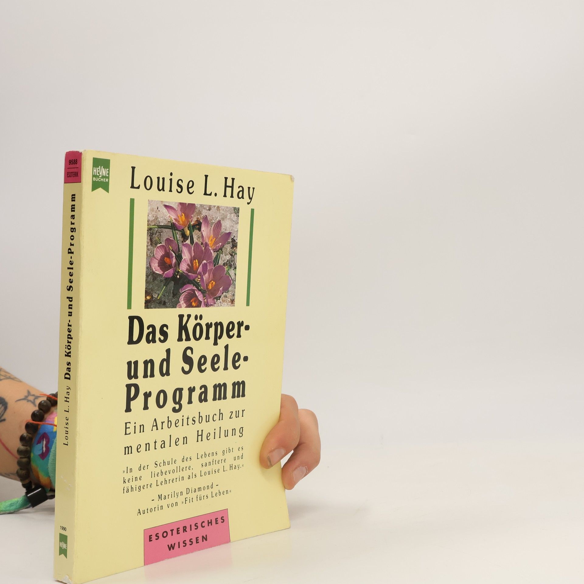 Louise Lynn Hay Das Körper- und Seele-Programm