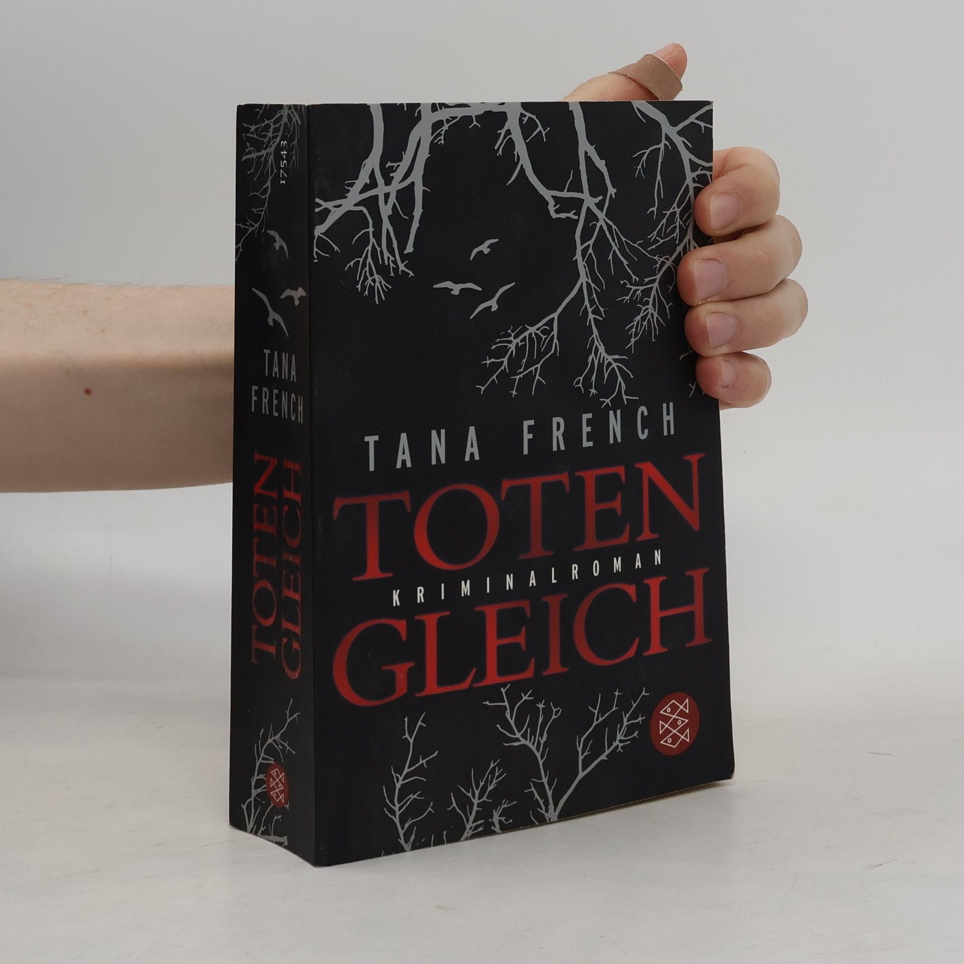 Tana French Totengleich
