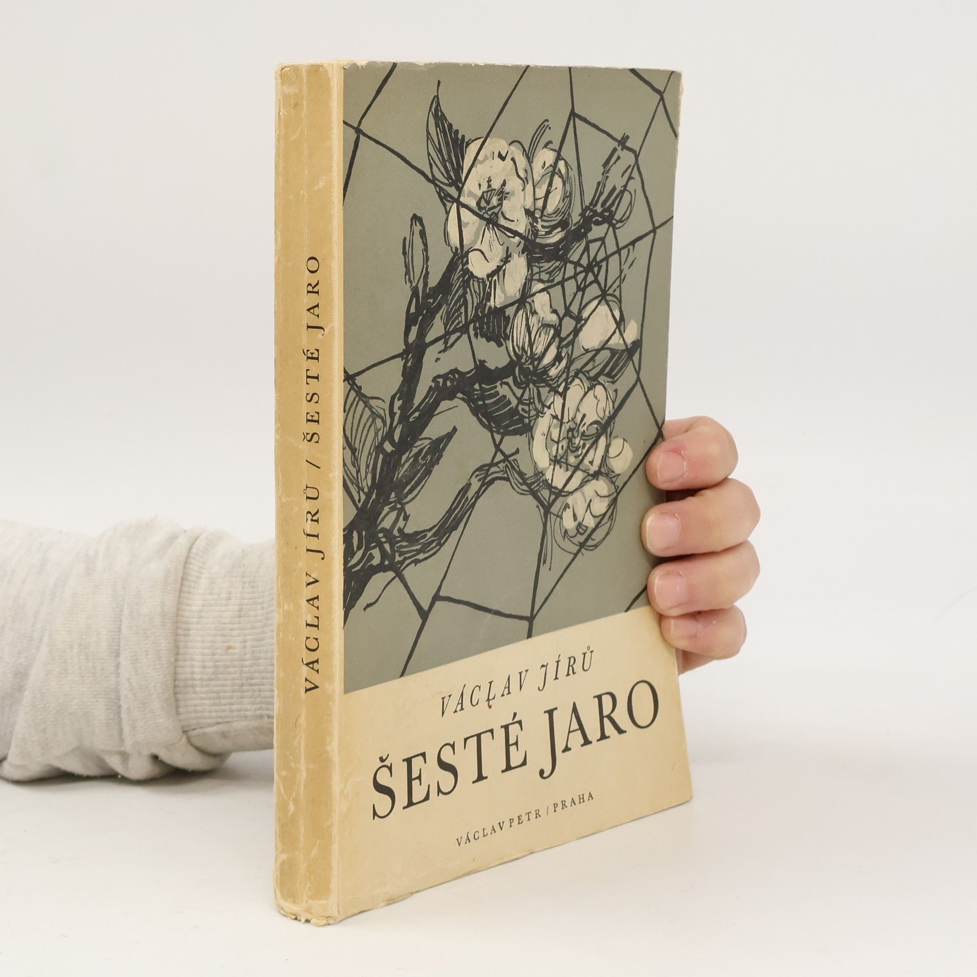 Václav Jírů Šesté jaro. Román z nacistické věznice