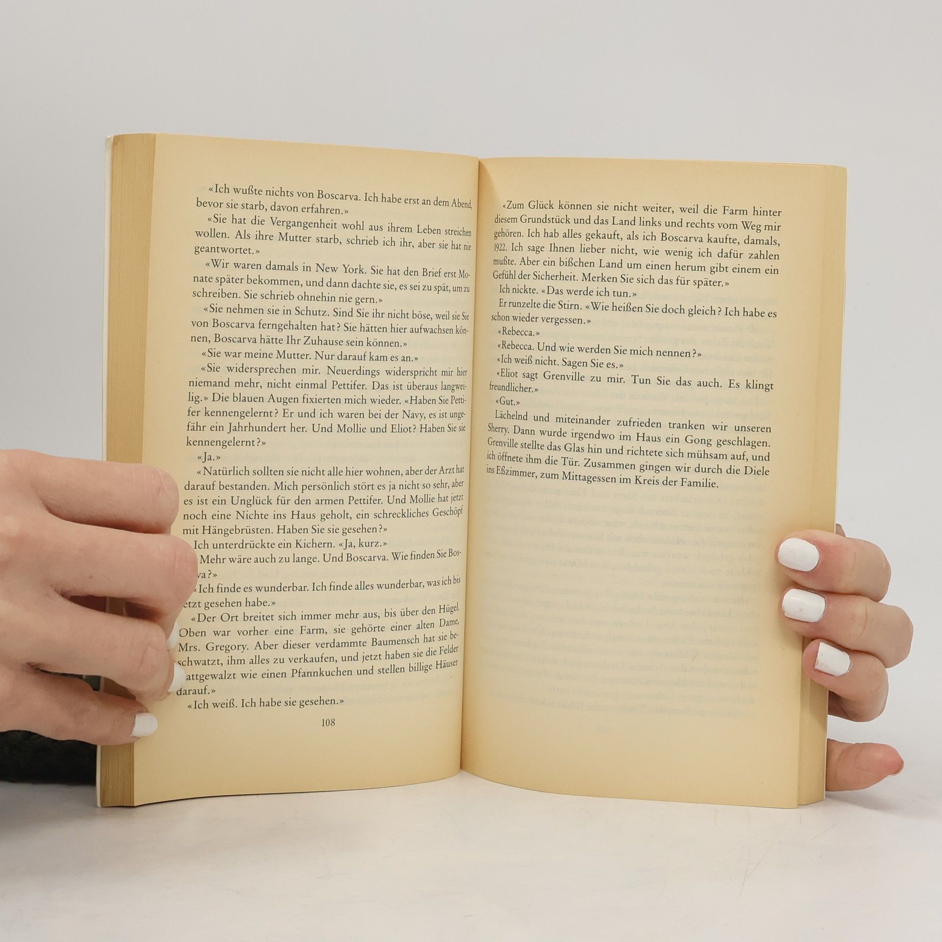 Rosamunde Pilcher Stürmische Begegnung