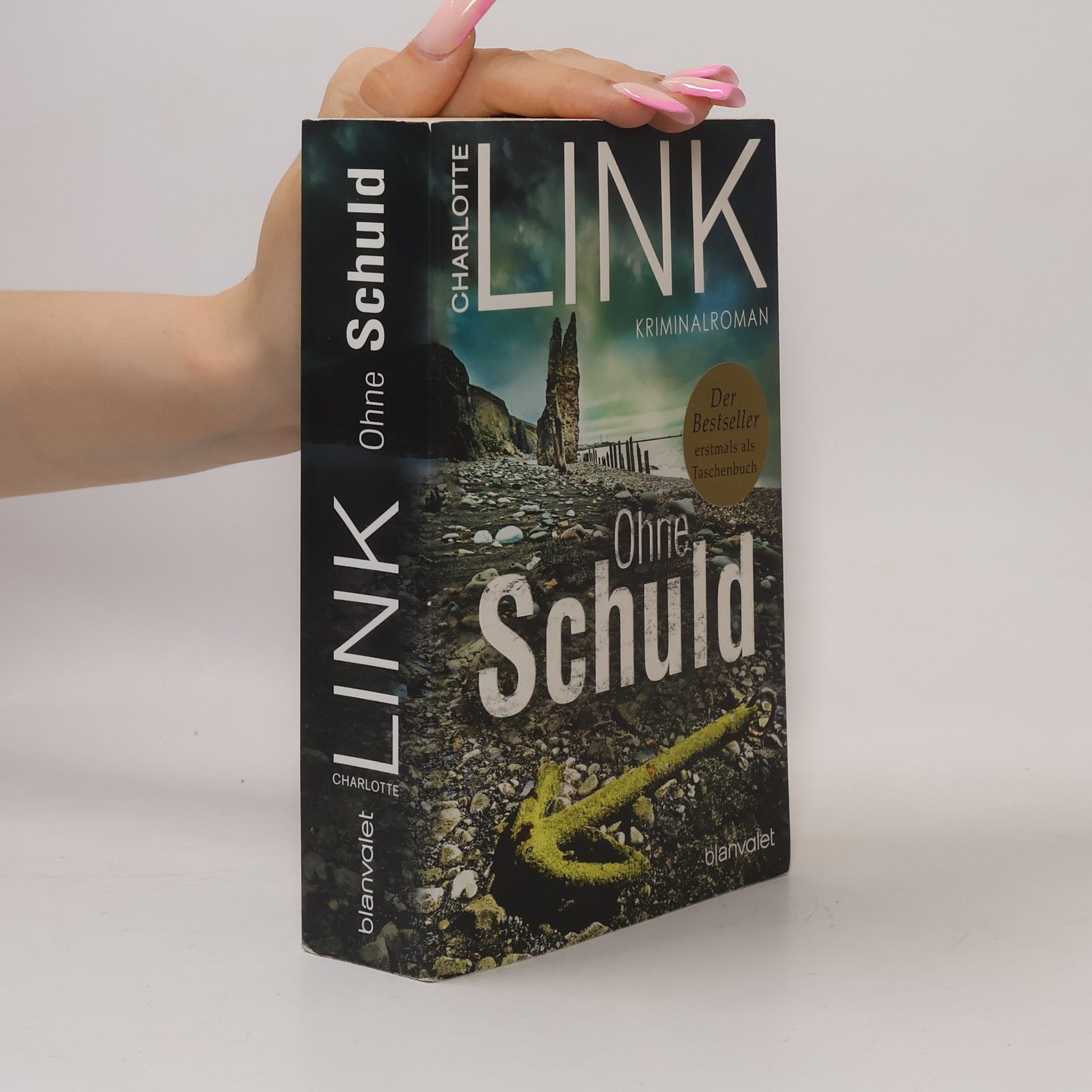 Charlotte Link Ohne Schuld