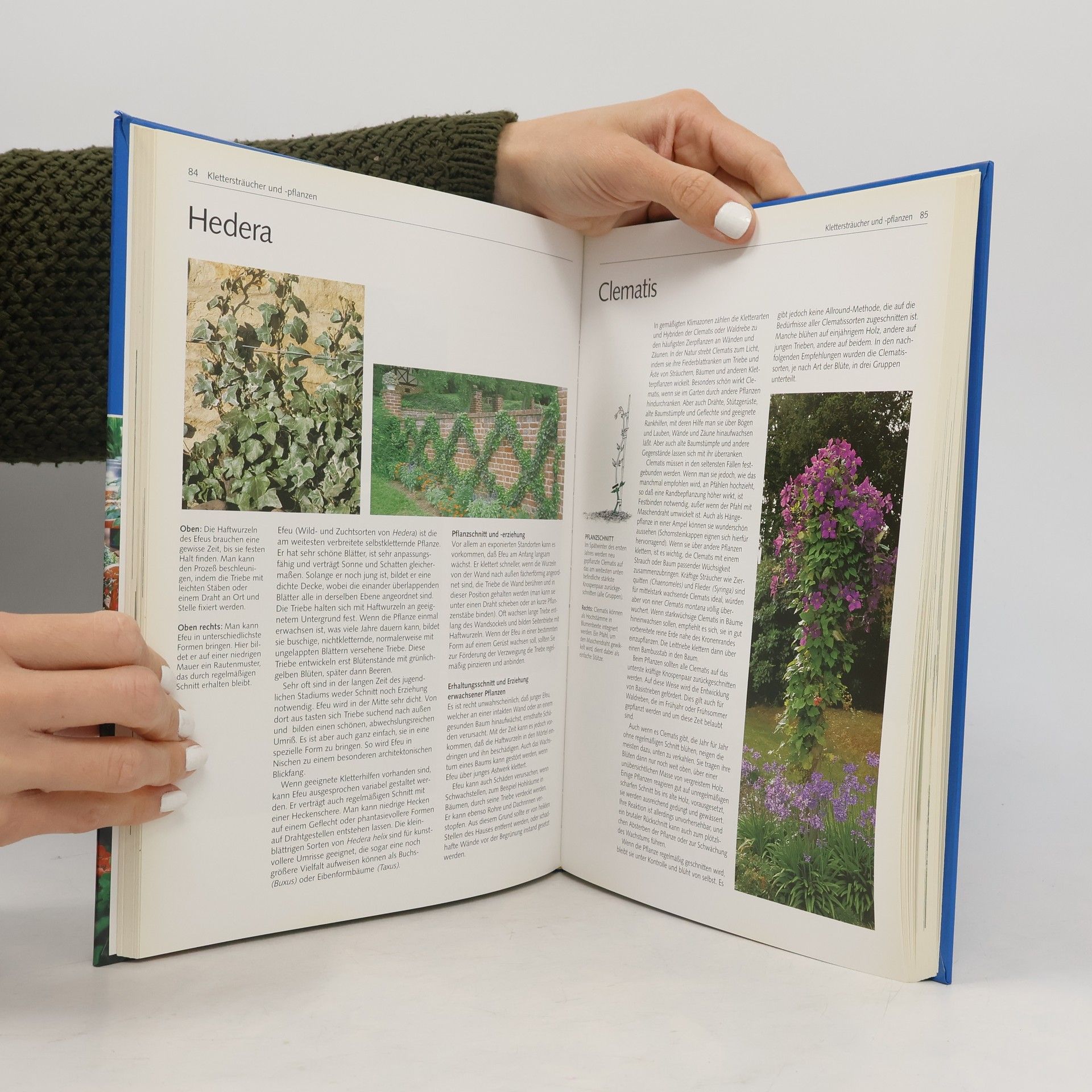 David Joyce Das große Buch vom Pflanzenschneiden