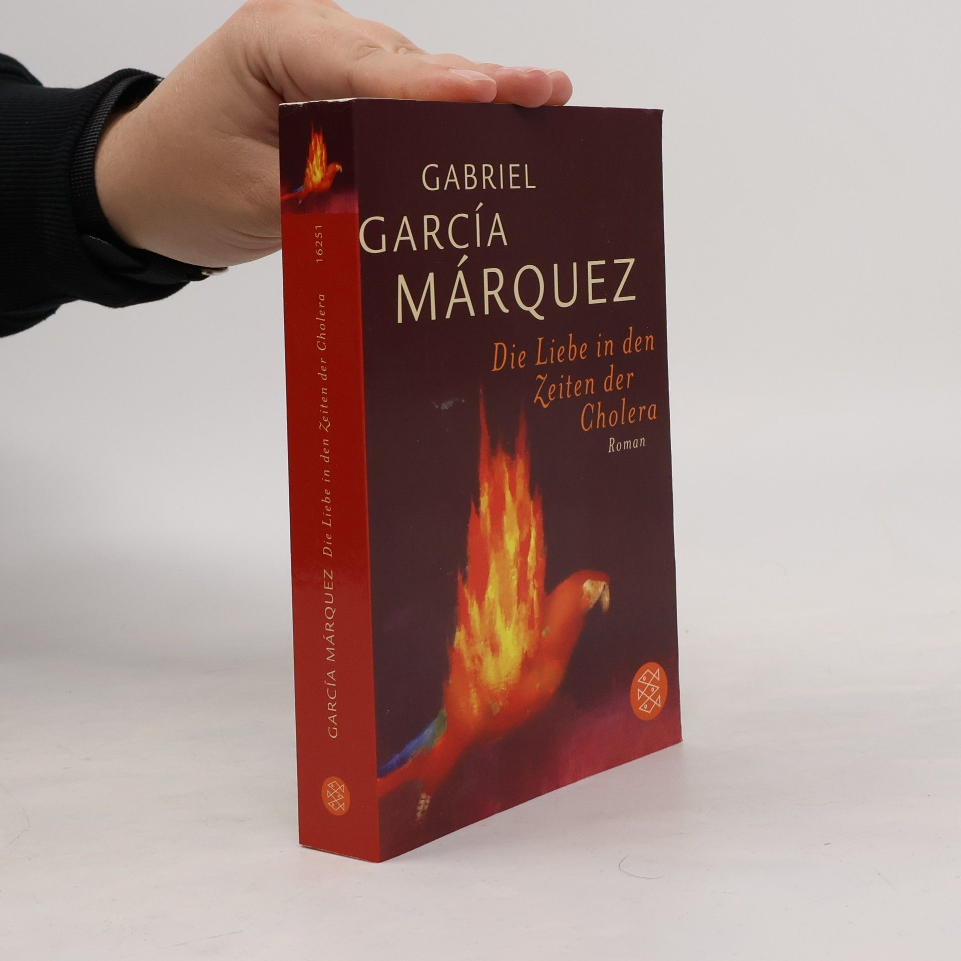 Gabriel García Márquez Die Liebe in den Zeiten der Cholera