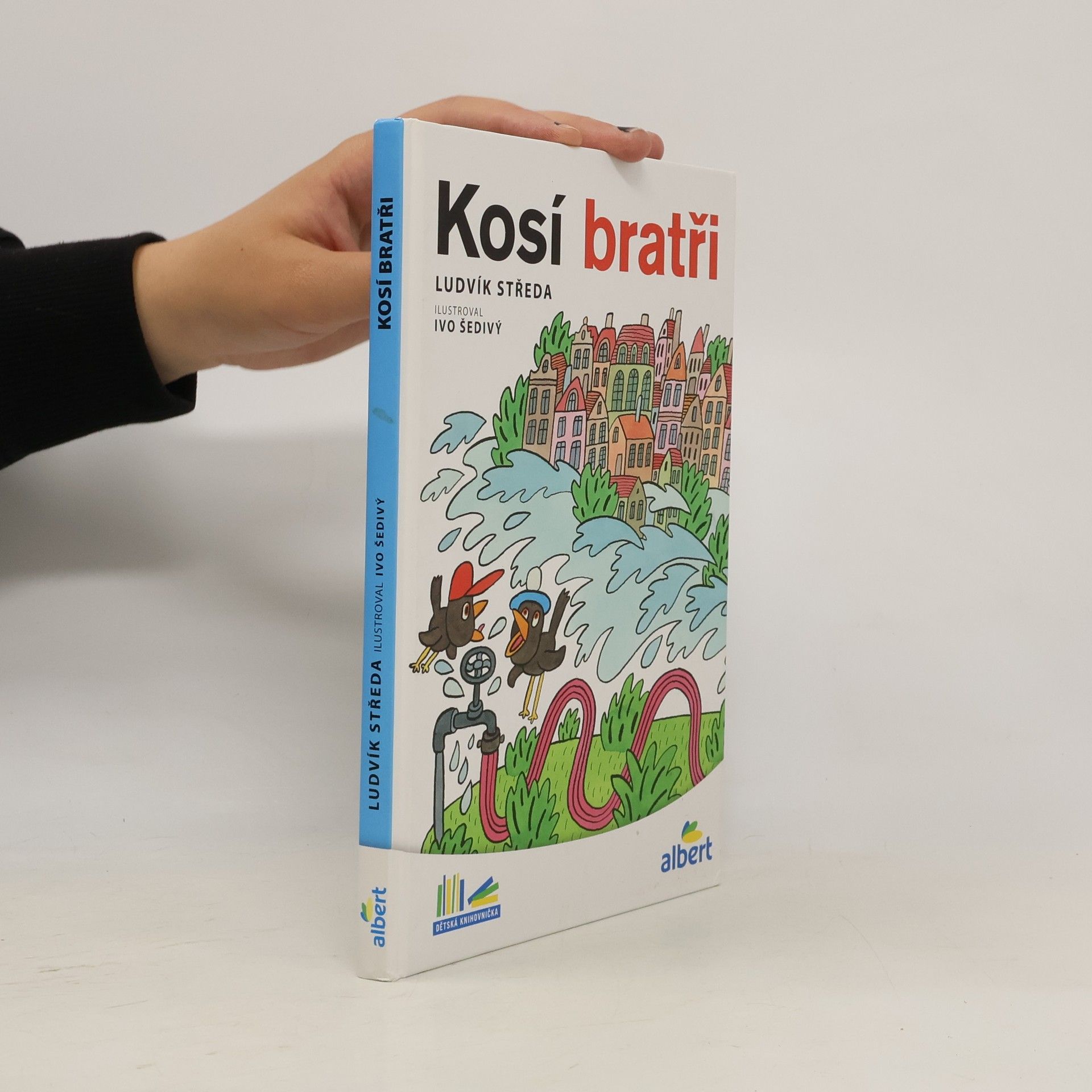 Ludvík Středa Kosí bratři