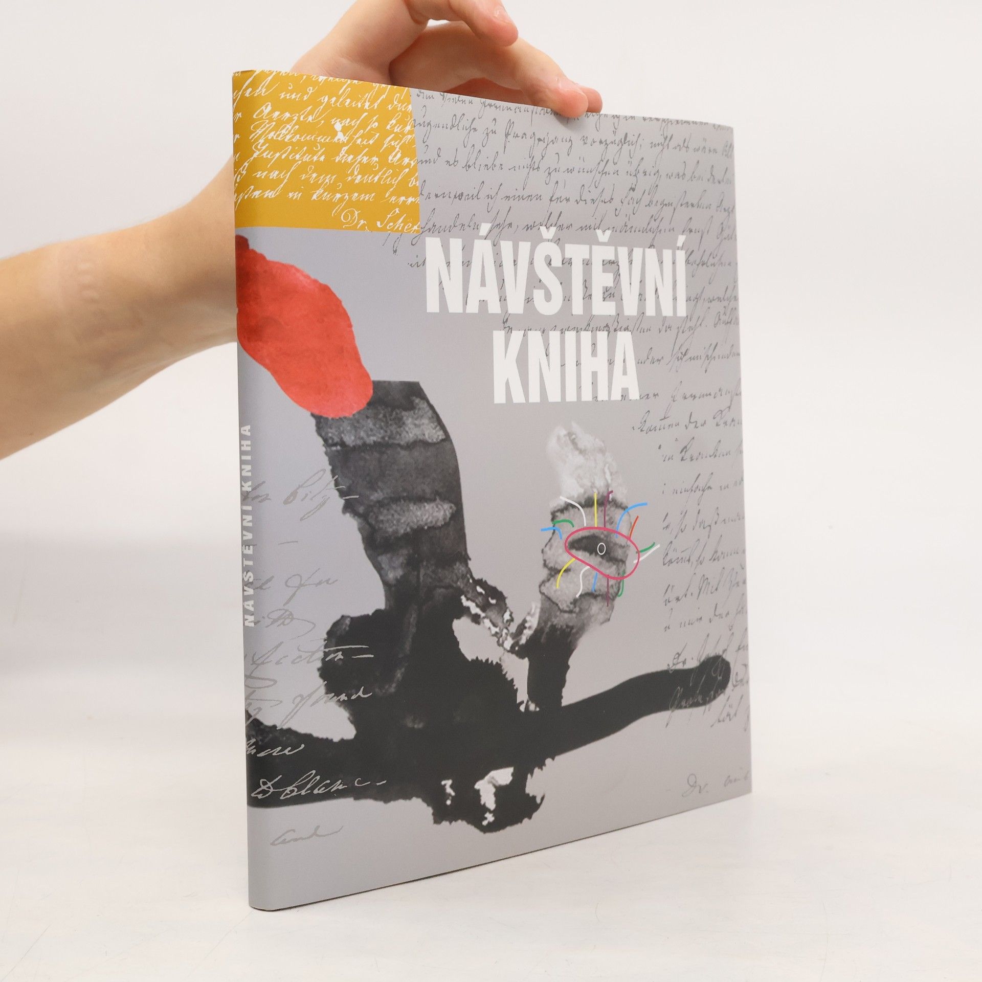 Allan Gintel Návštěvní kniha. Příběh psychiatrické kliniky v Praze s portréty slavných postav