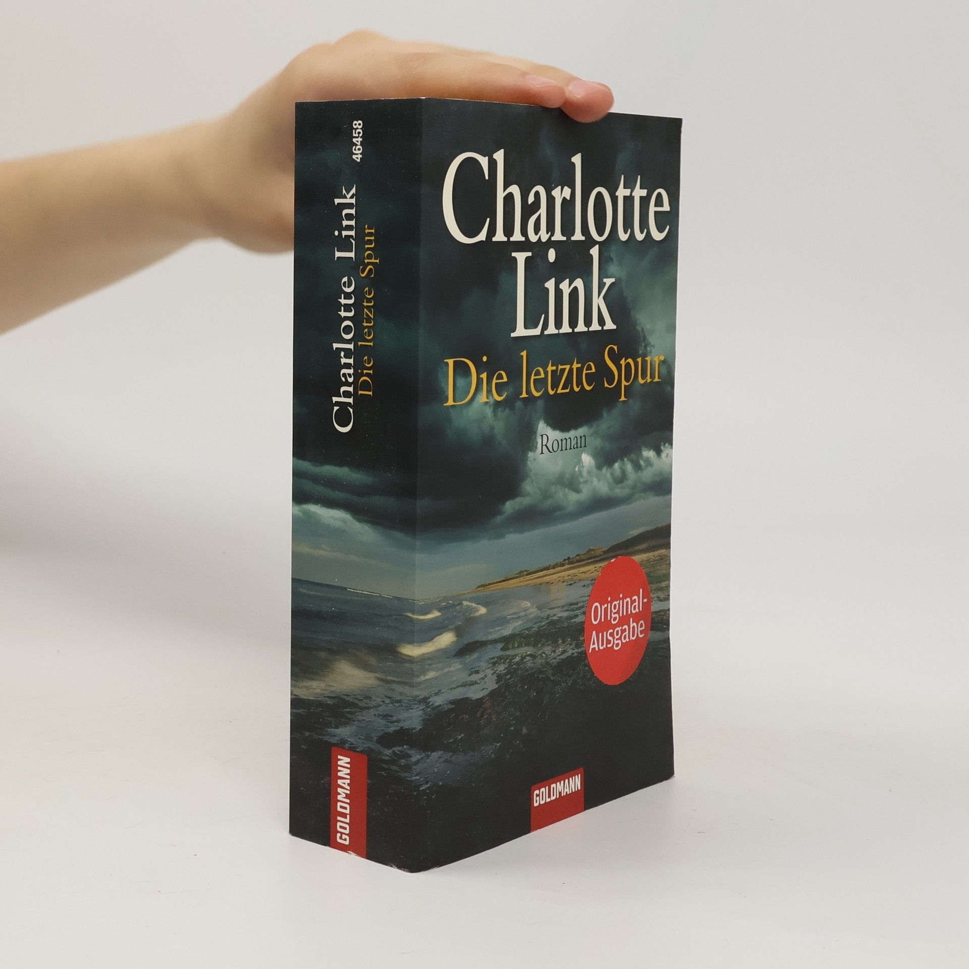 Charlotte Link Die letzte Spur