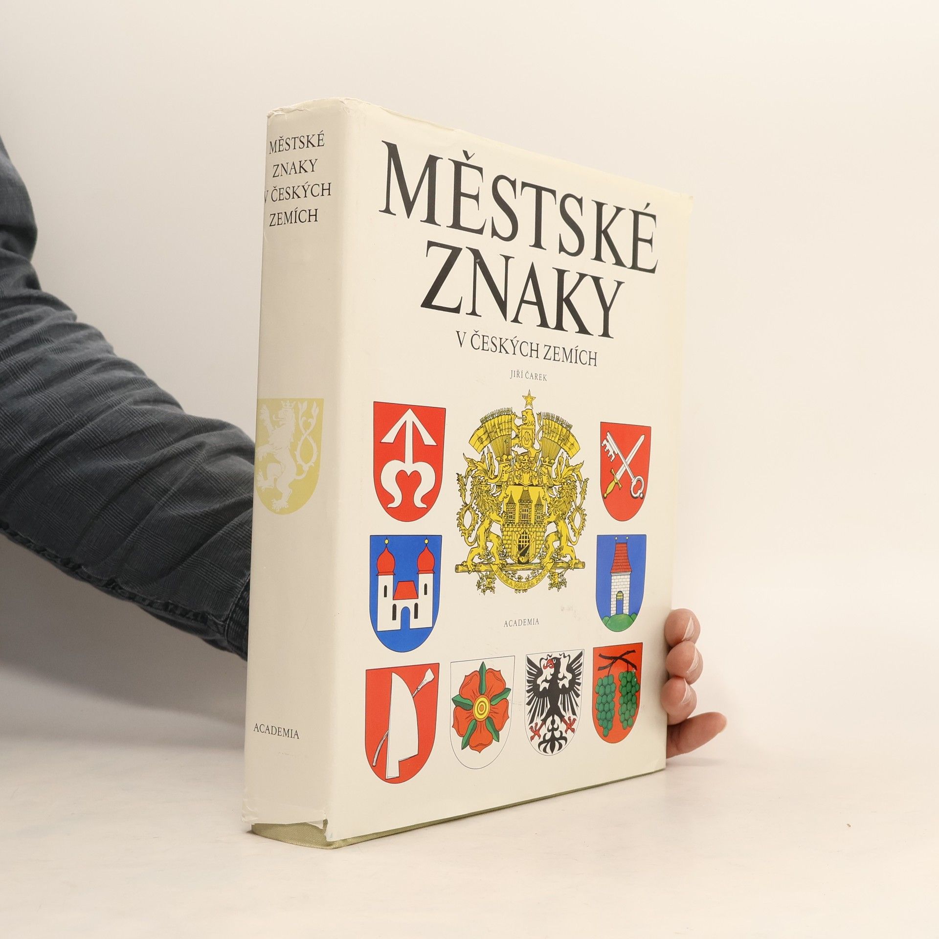 Jiří Čarek Městské znaky v českých zemích