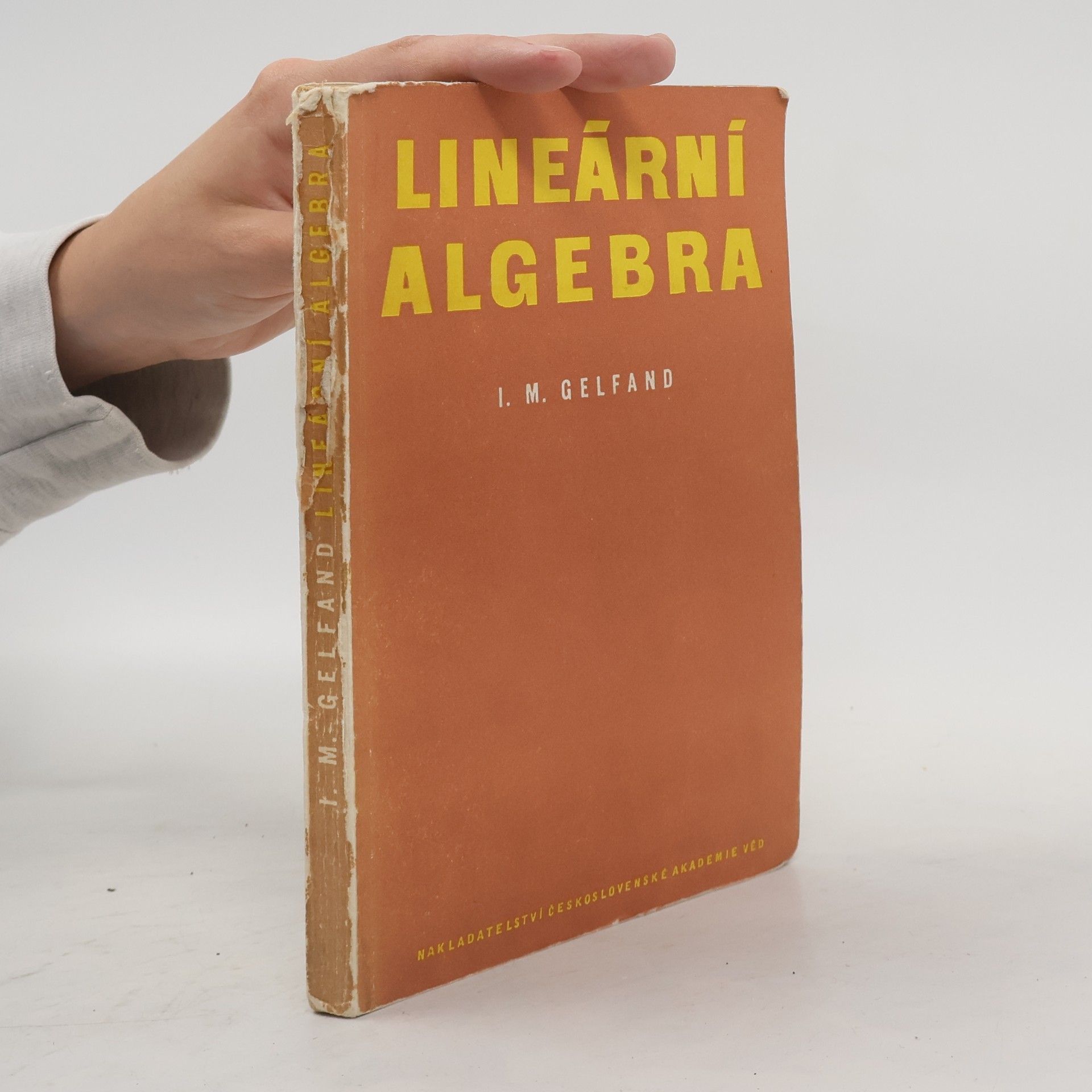 I. M. Gelfand Lineární algebra
