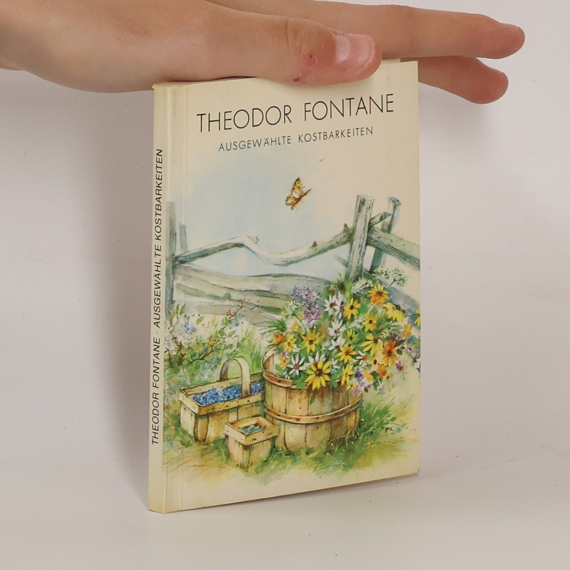 Theodor Fontane Ausgewählte Kostbarkeiten
