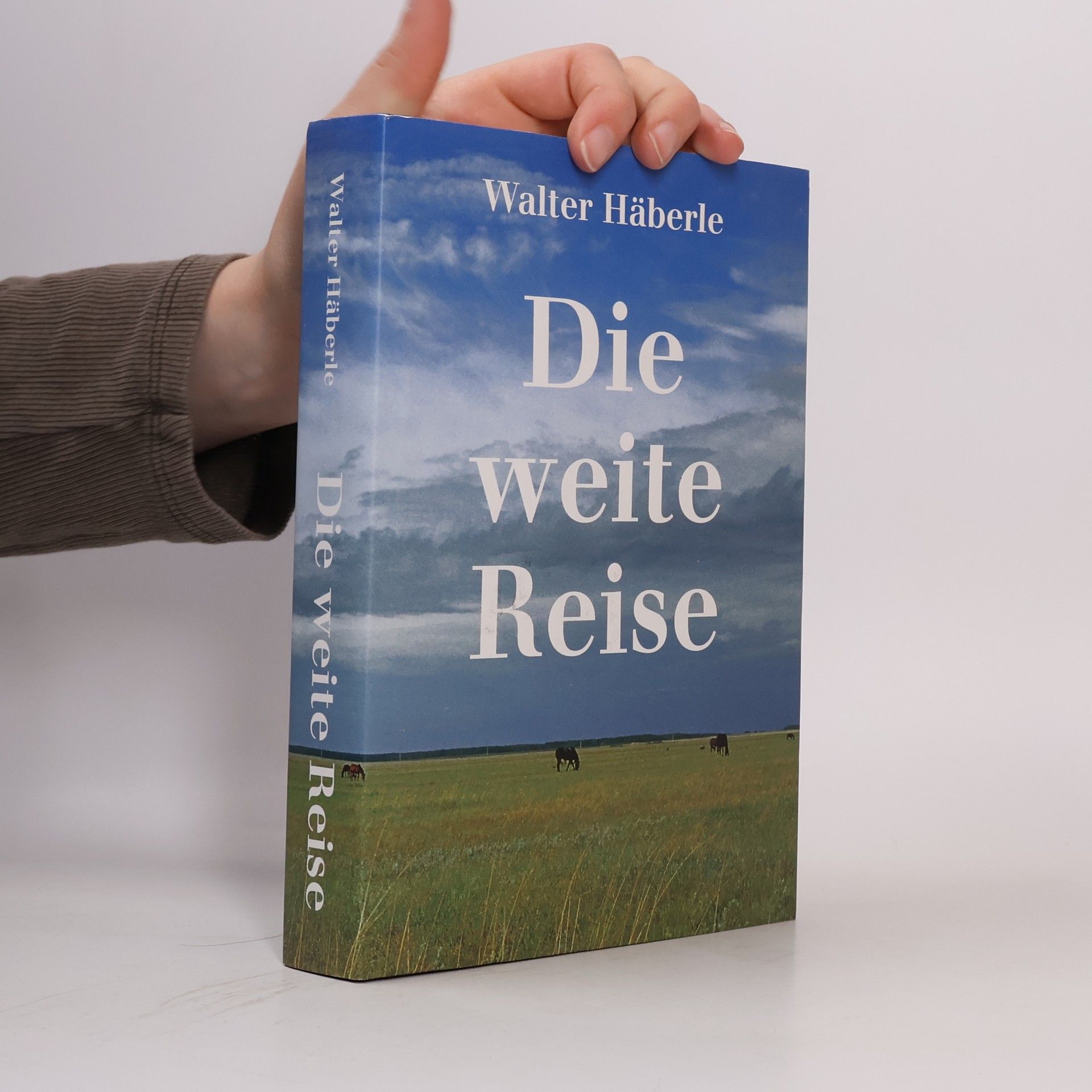 Walter Häberle Die weite Reise