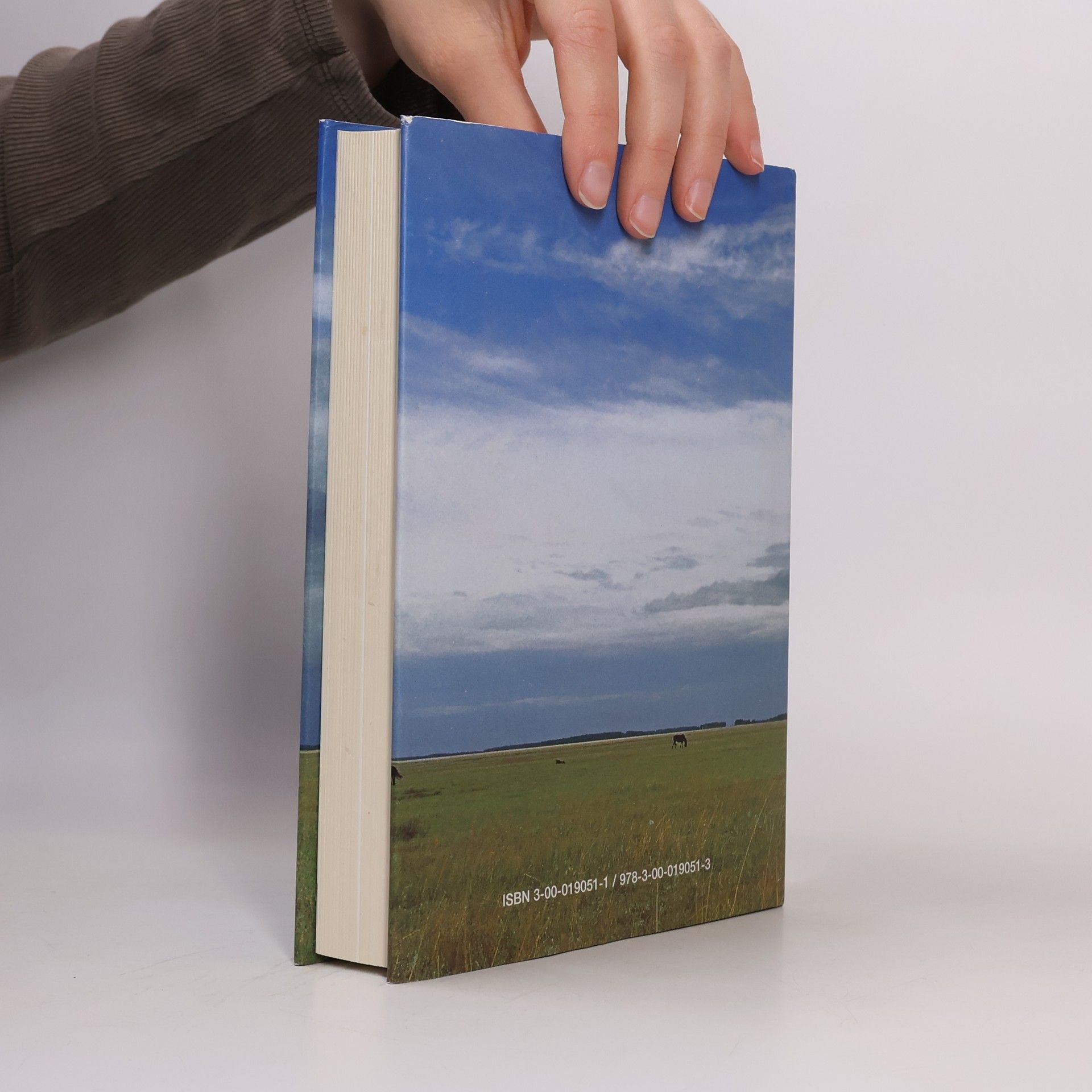 Walter Häberle Die weite Reise
