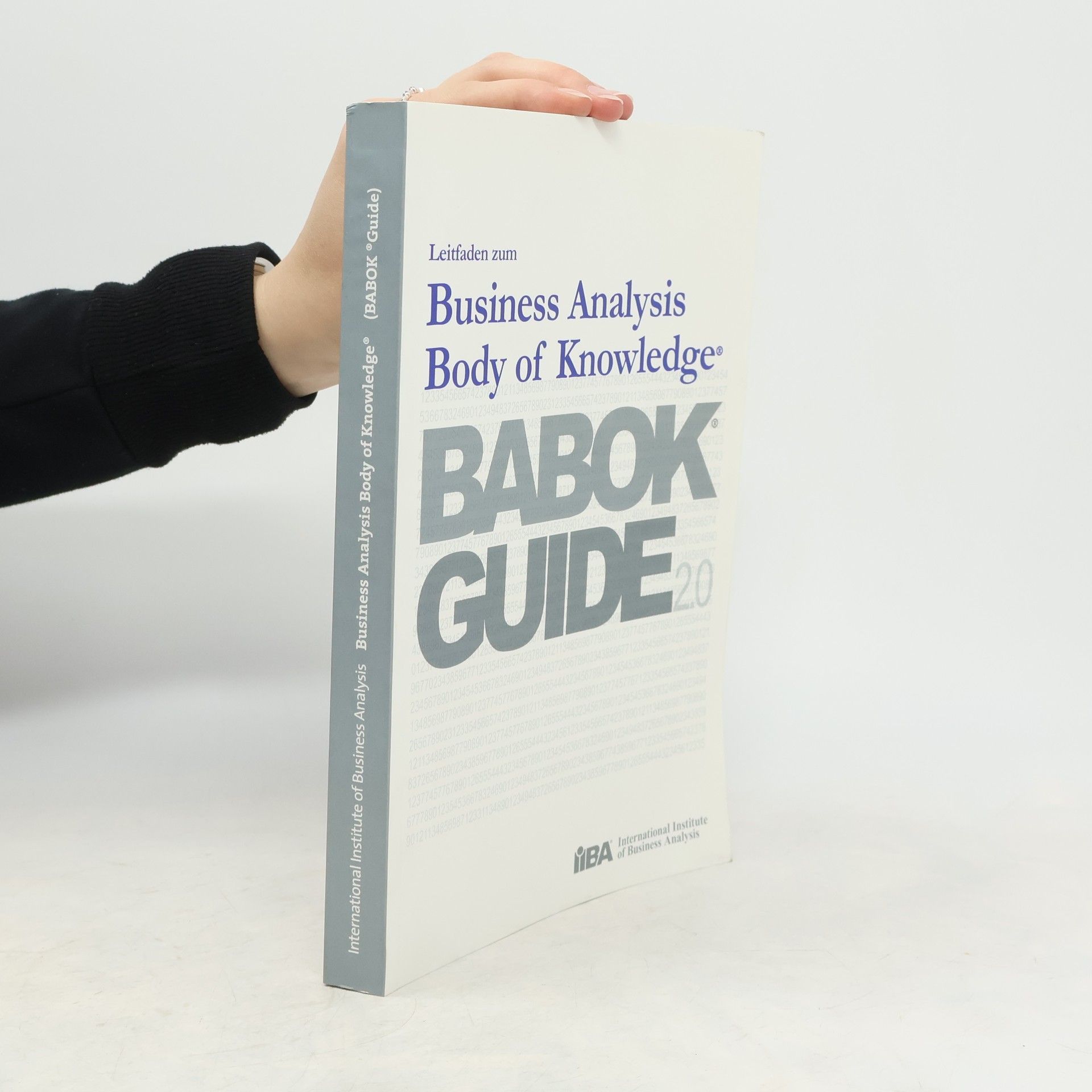 Autorenkollektiv Leitfaden zum Business Analysis Body of Knowledge