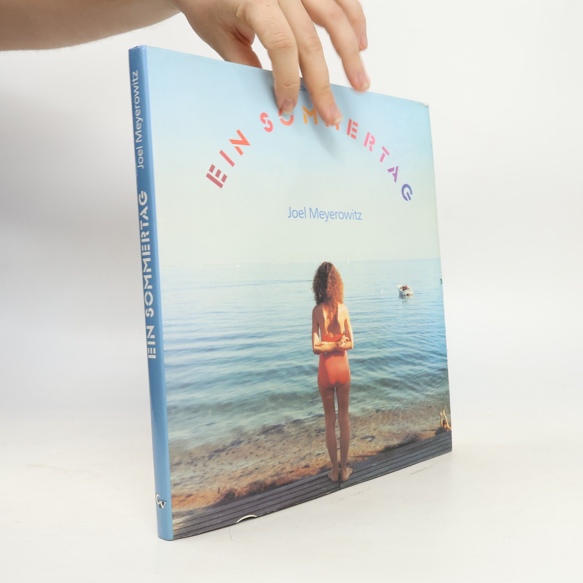 Joel Meyerowitz Ein Sommertag