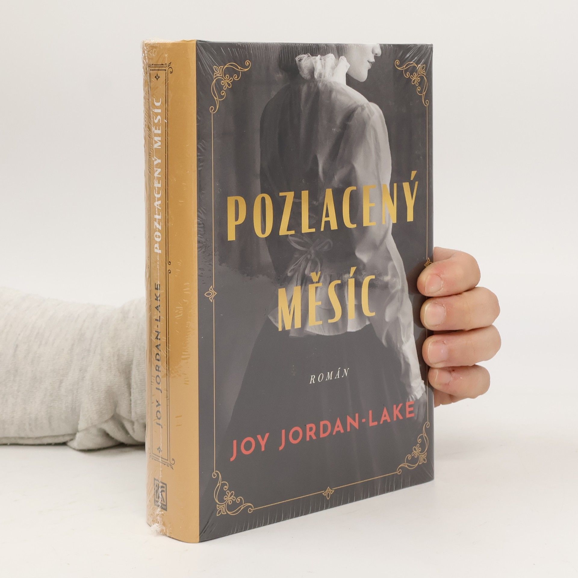 Joy Jordan-Lake Pozlacený měsíc