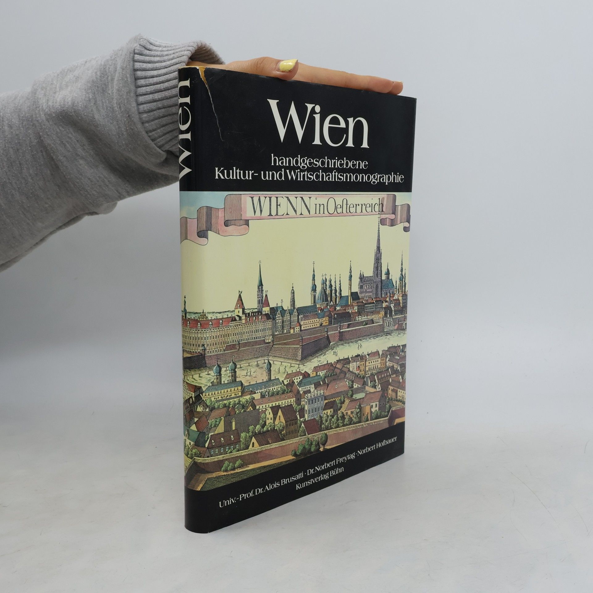 Wien handgeschriebene Kultur- und Wirtschaftsmonographie