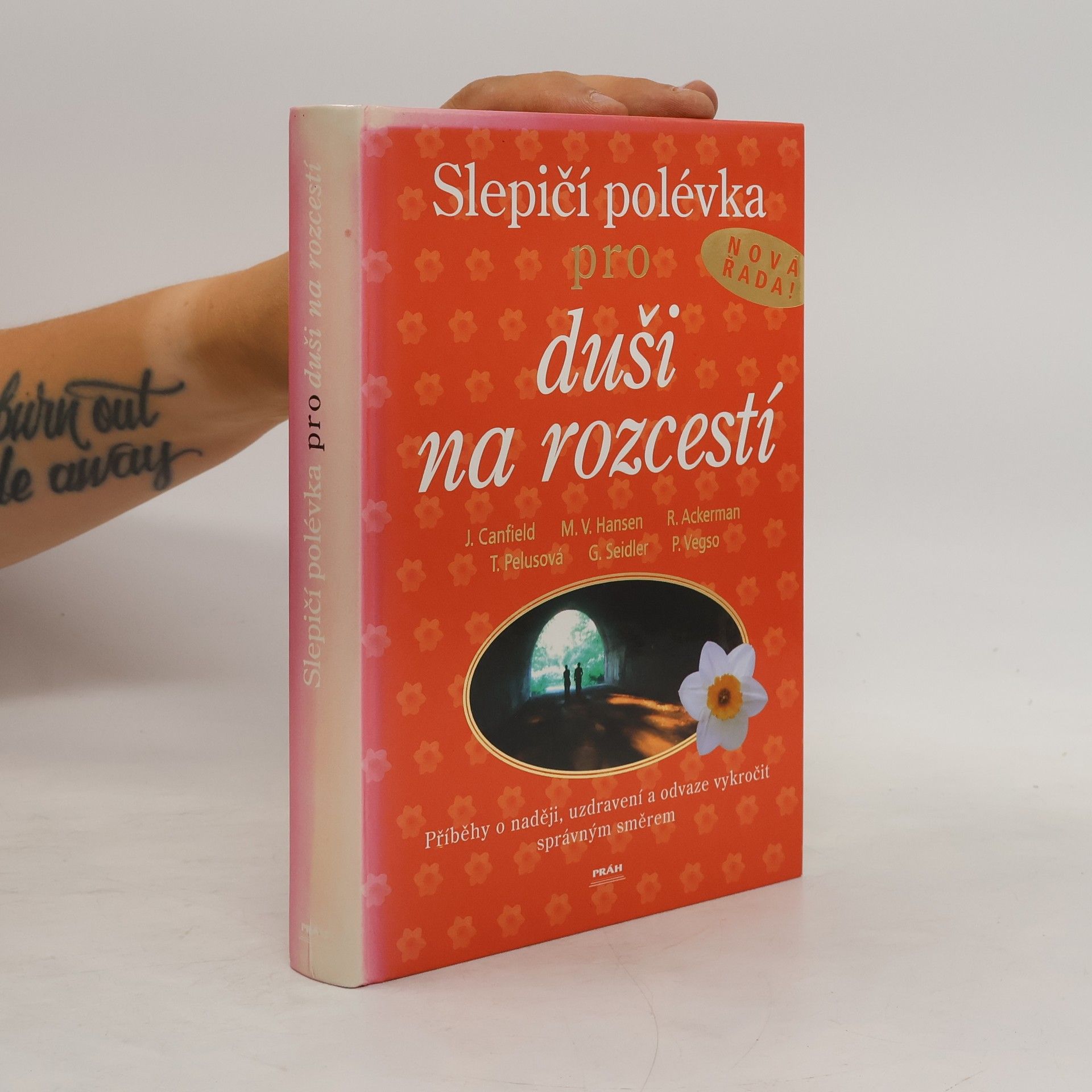 Jack Canfield Slepičí polévka pro duši na rozcestí