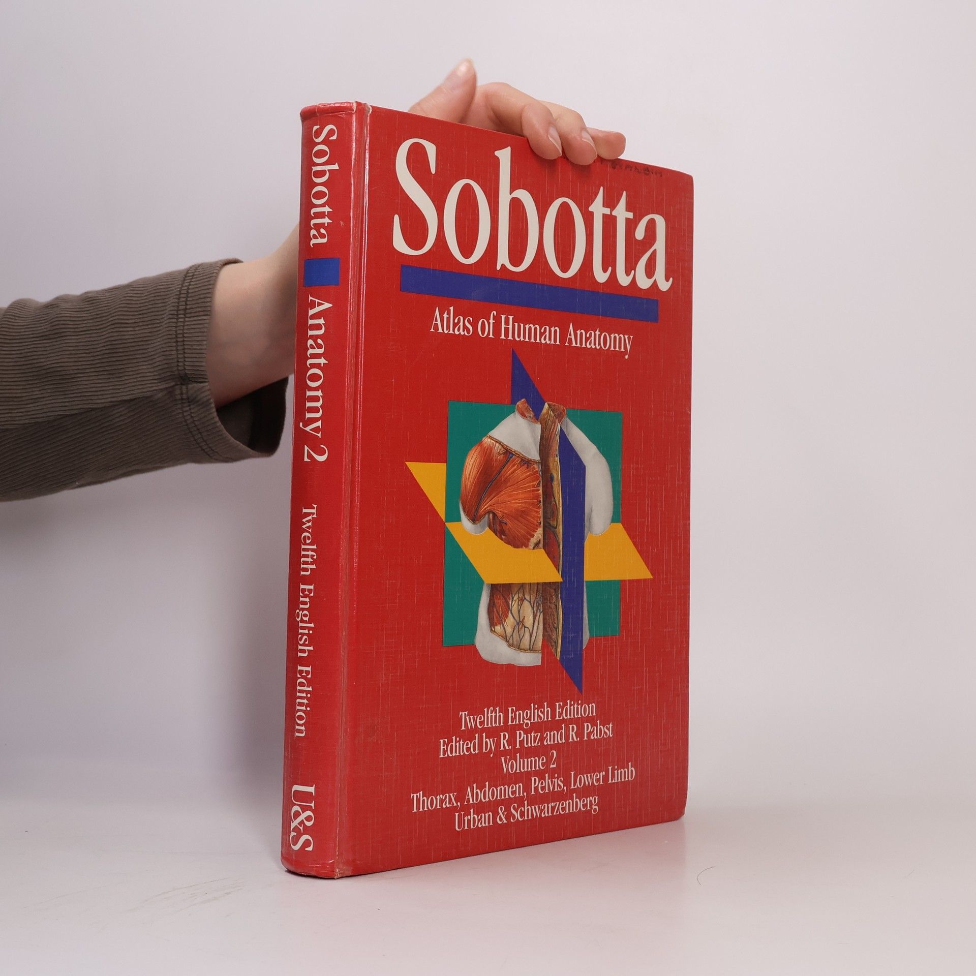 Autorenkollektiv Sobotta 2. Atlas of Human Anatomy