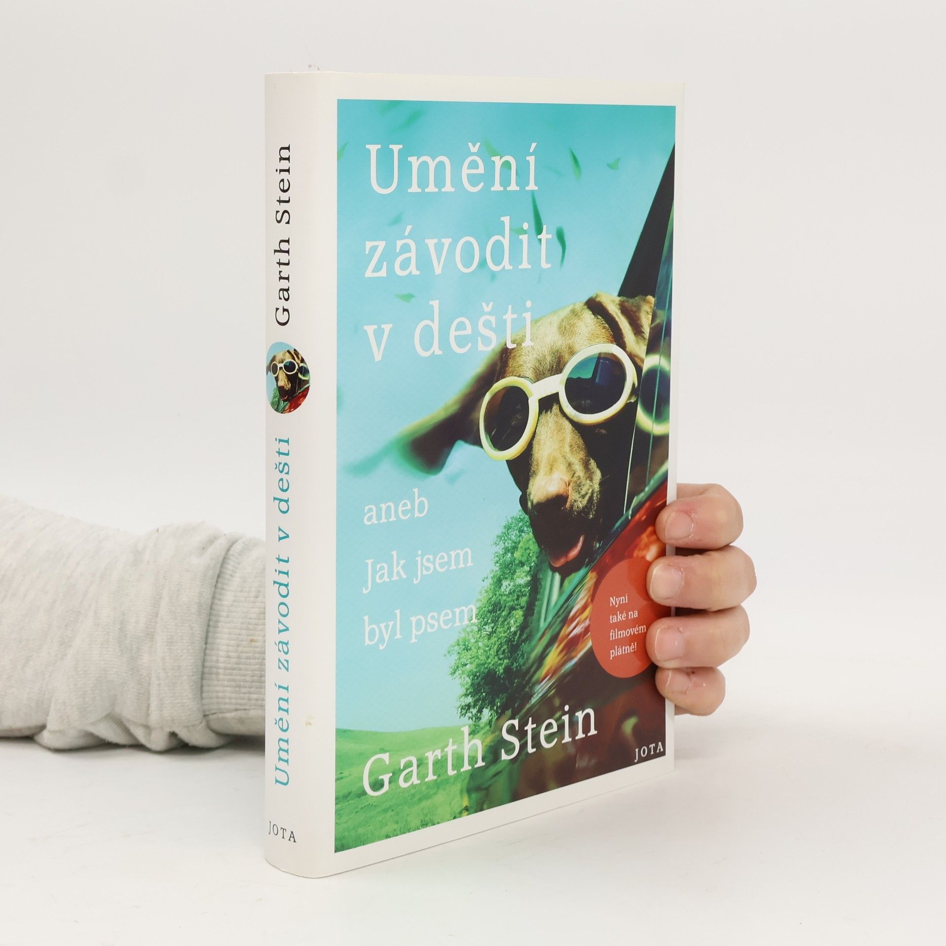 Garth Stein Umění závodit v dešti