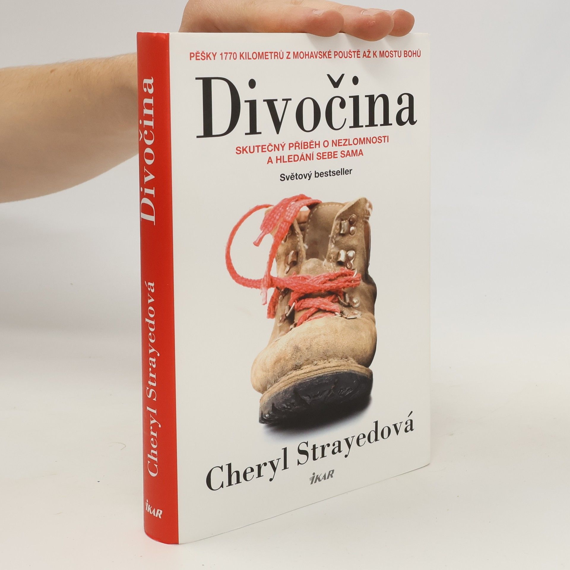 Cheryl Strayed Divočina