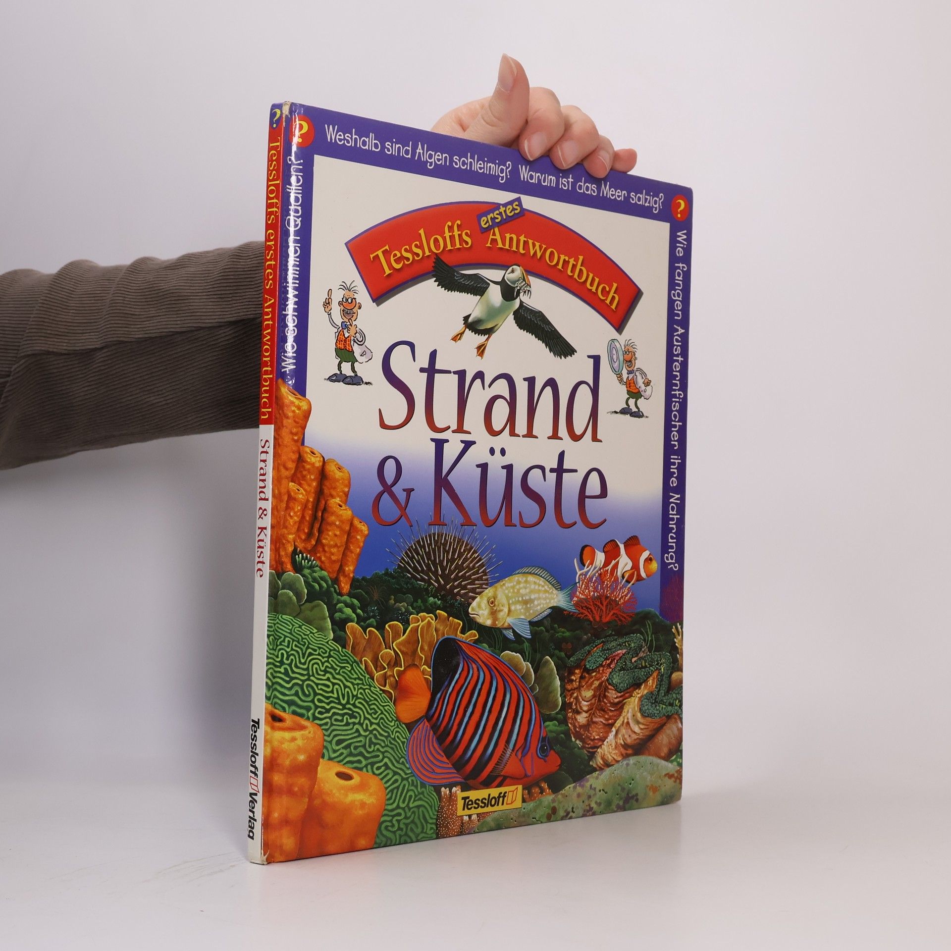 Strand & Küste