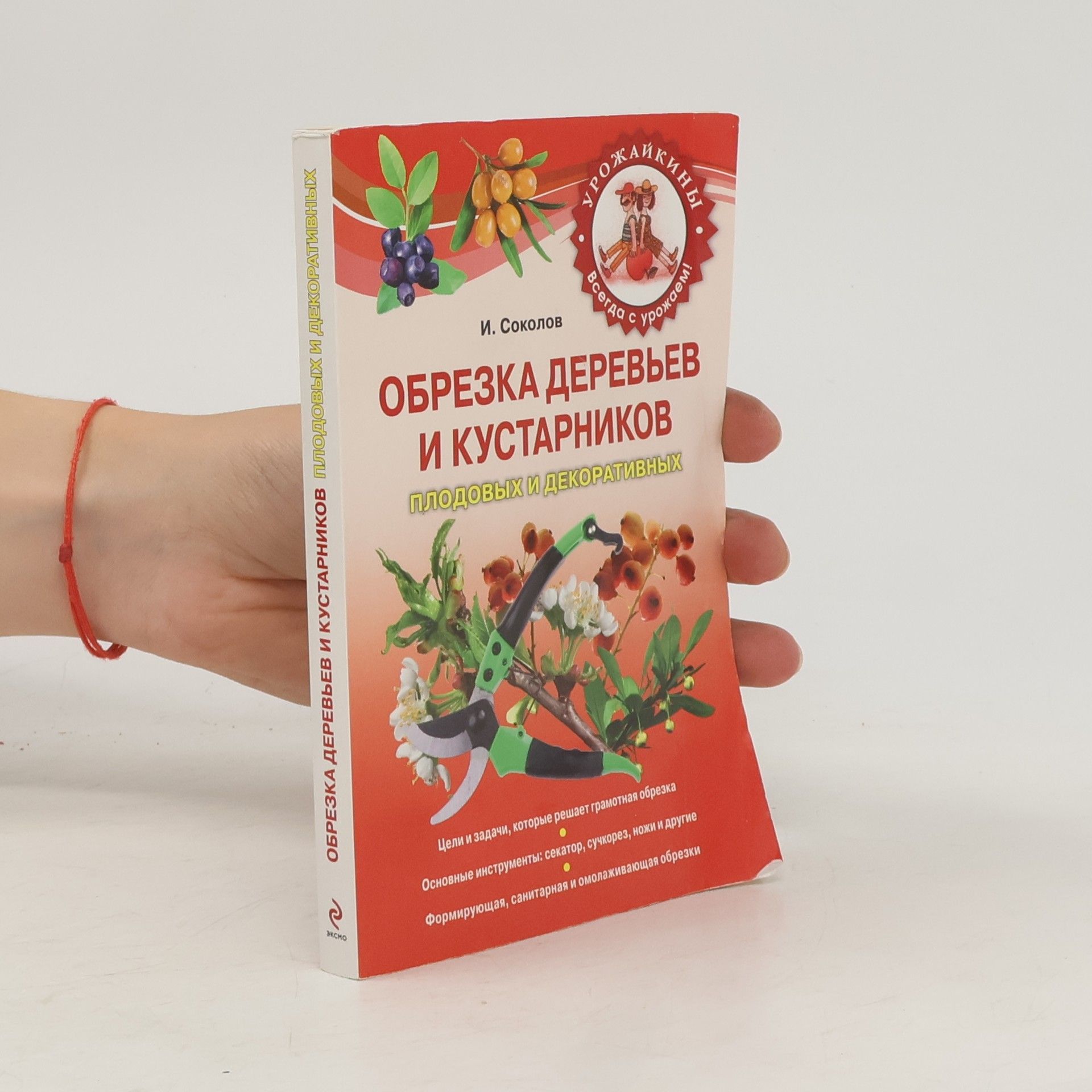Илья Ильич Соколов Обрезка деревьев и кустарников плодовых и декоративных