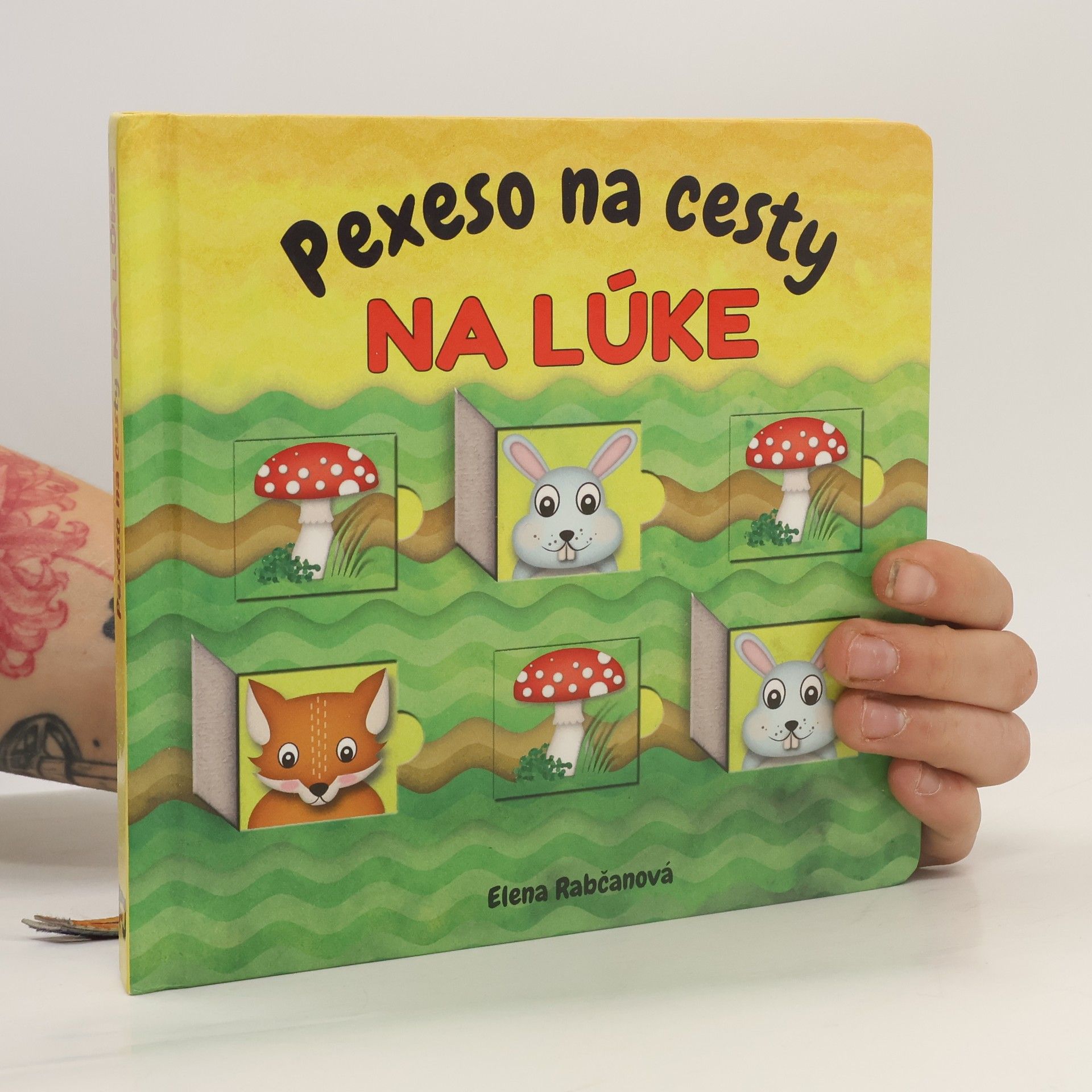 Elena Rabčanová Pexeso na cesty. Na lúke