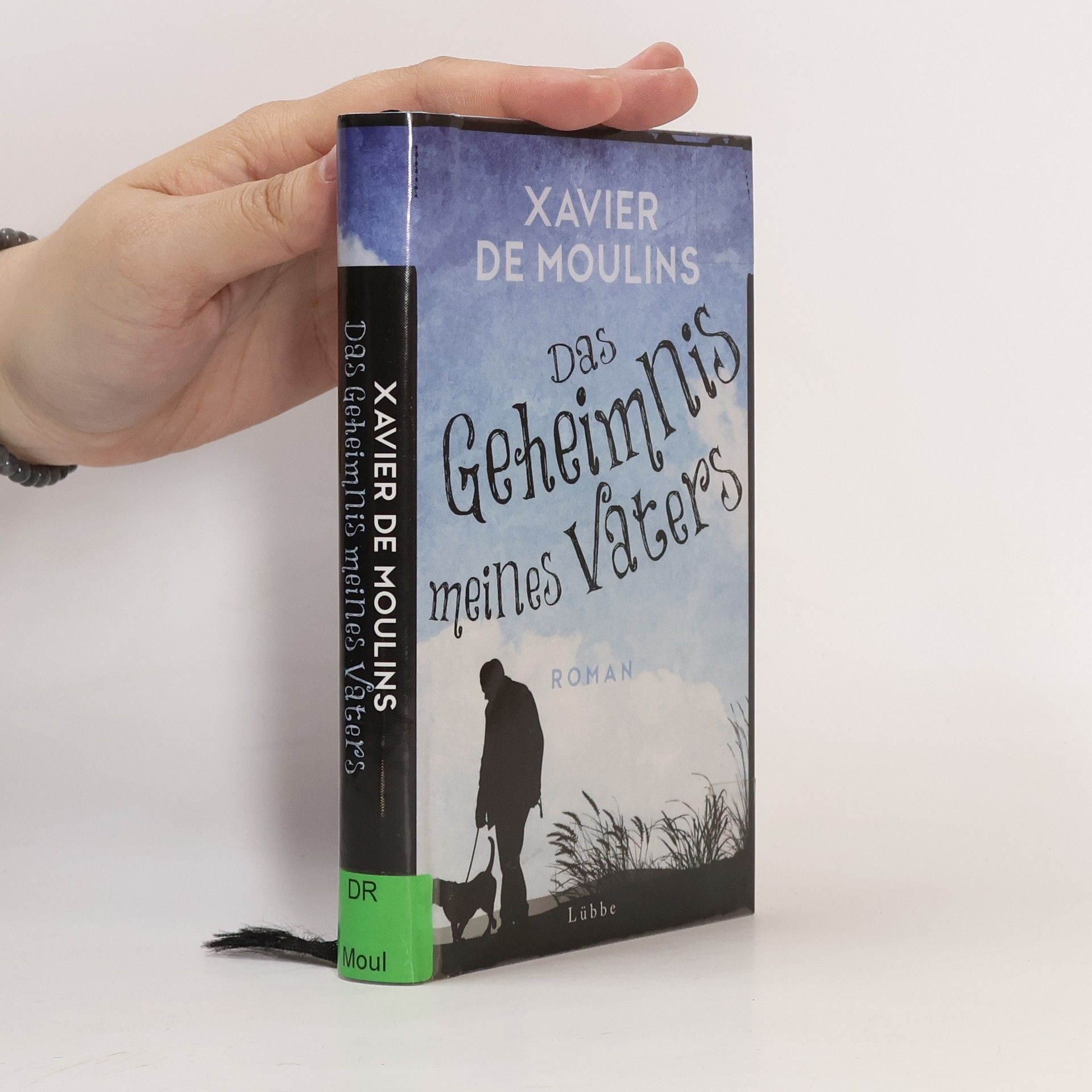 Xavier de Moulins Das Geheimnis meines Vaters