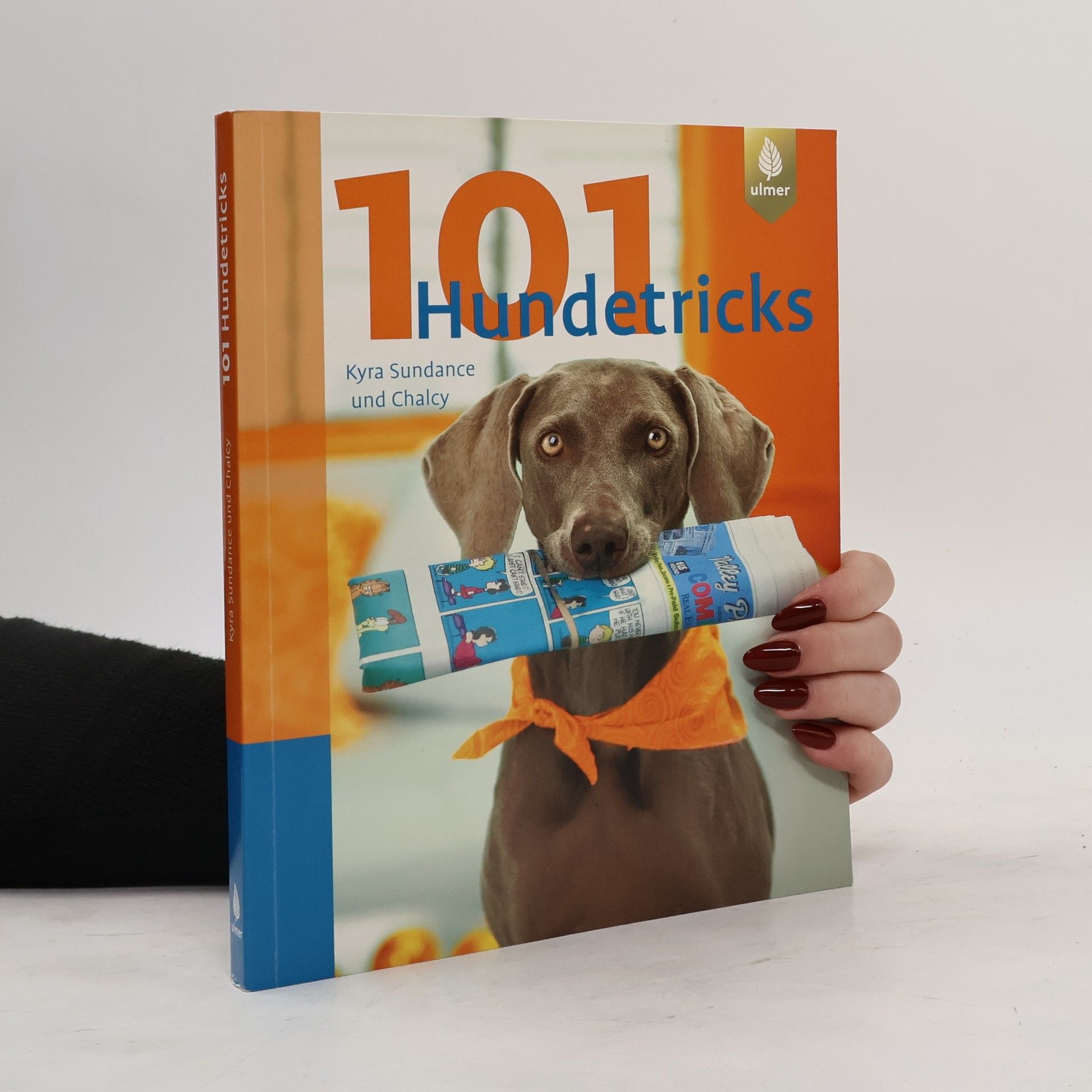 101 Hundetricks