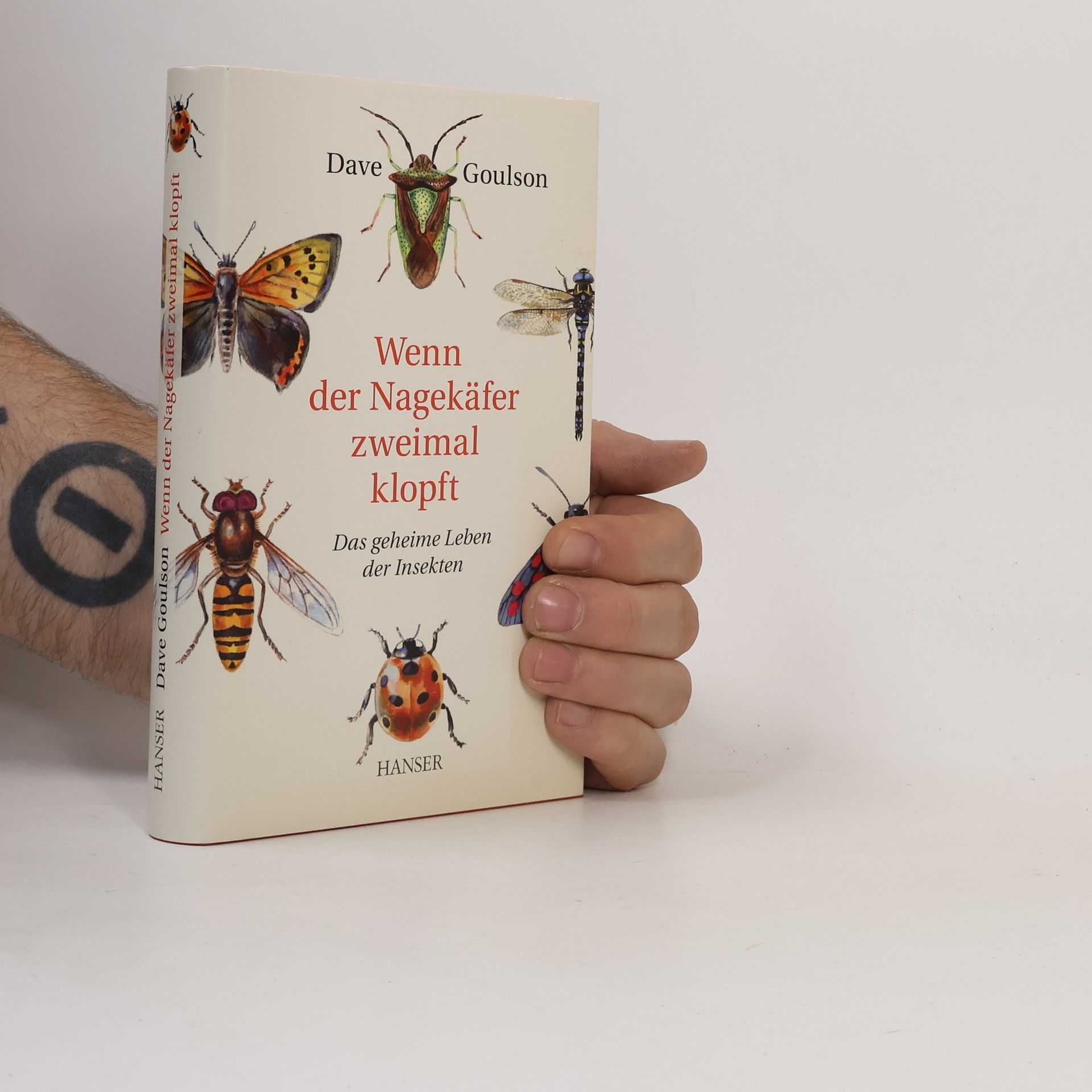Dave Goulson Wenn der Nagekäfer zweimal klopft