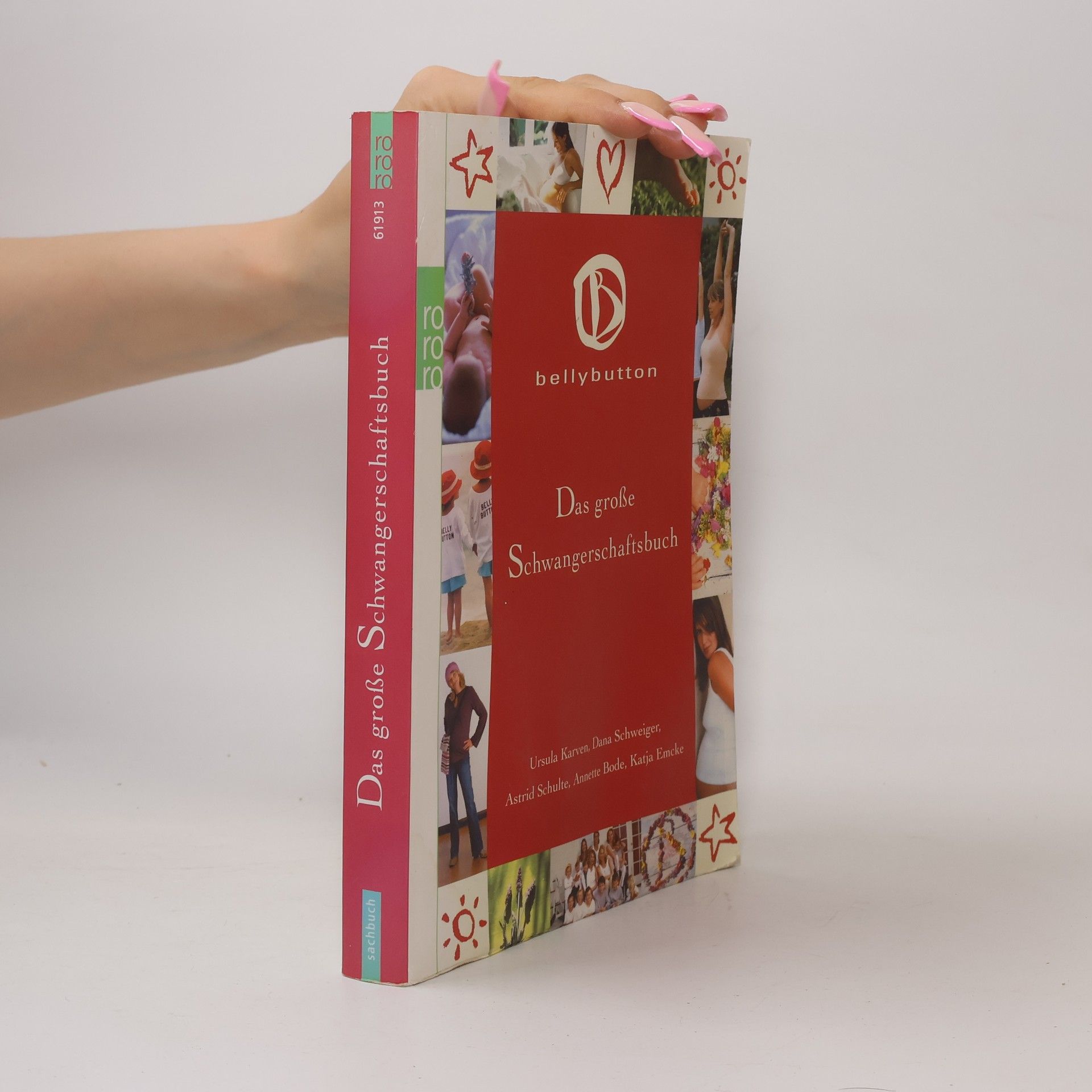 Various authors Das große Schwangerschaftsbuch