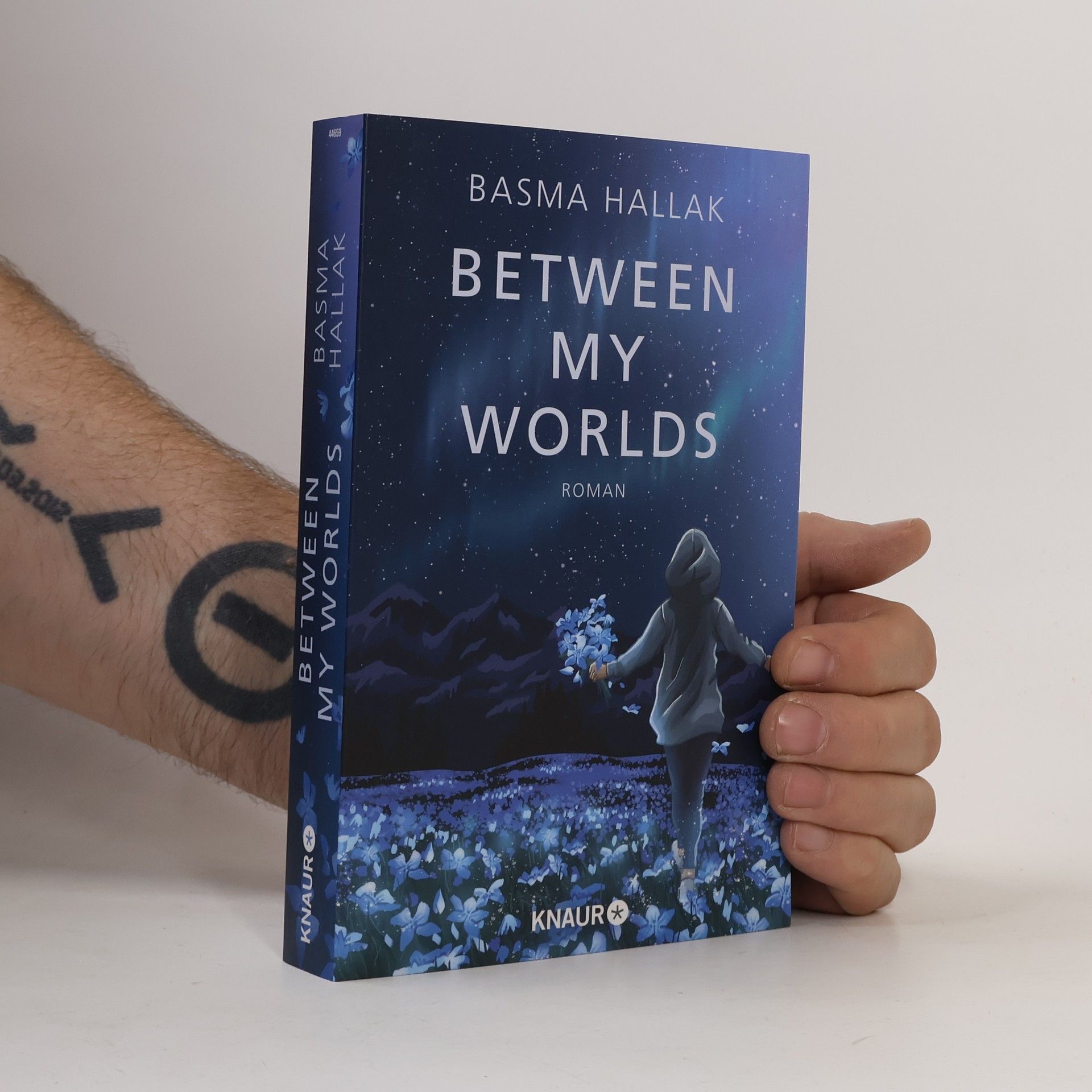 Basma Hallak Between My Worlds / Kalima und Nói Bd.1