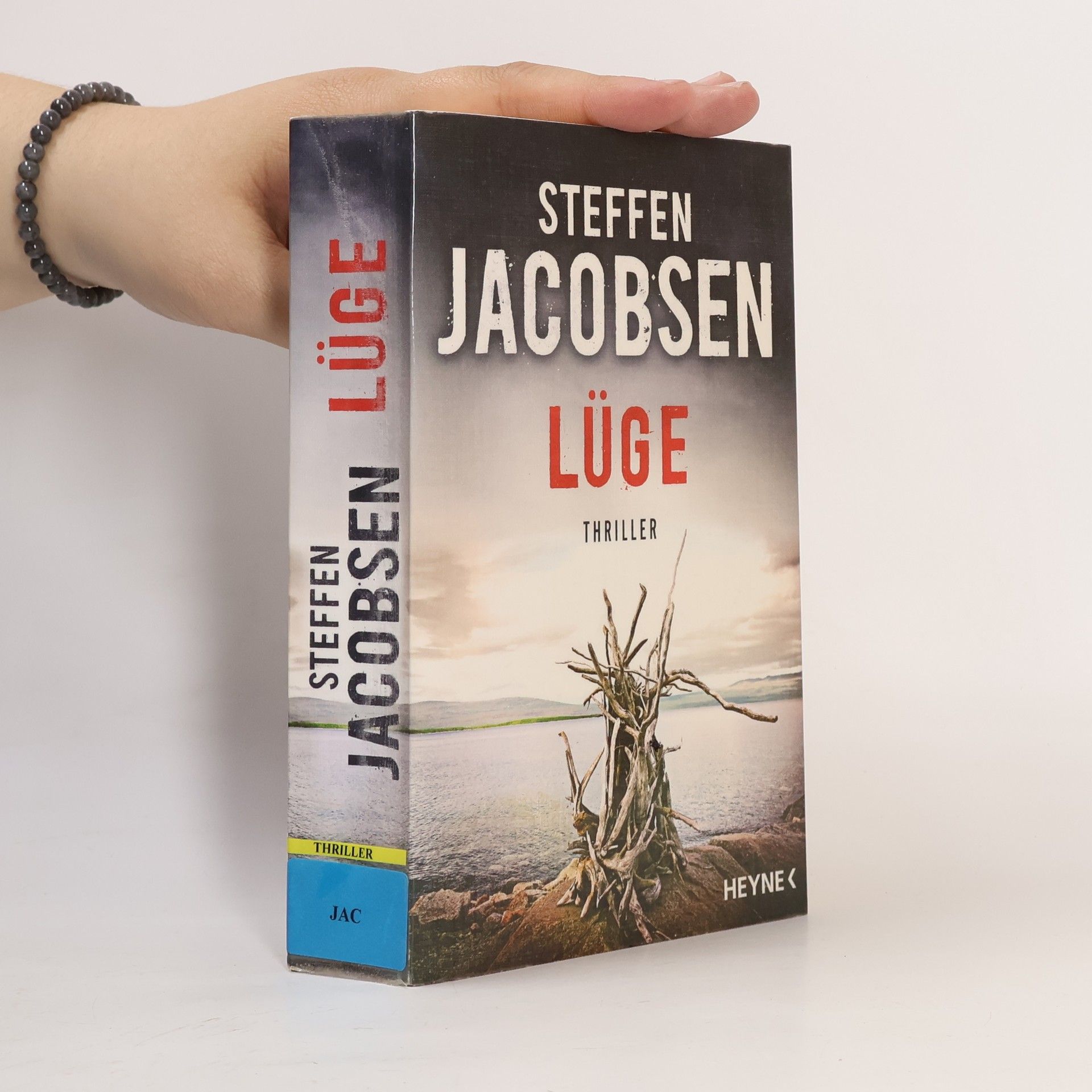 Steffen Jacobsen Lüge