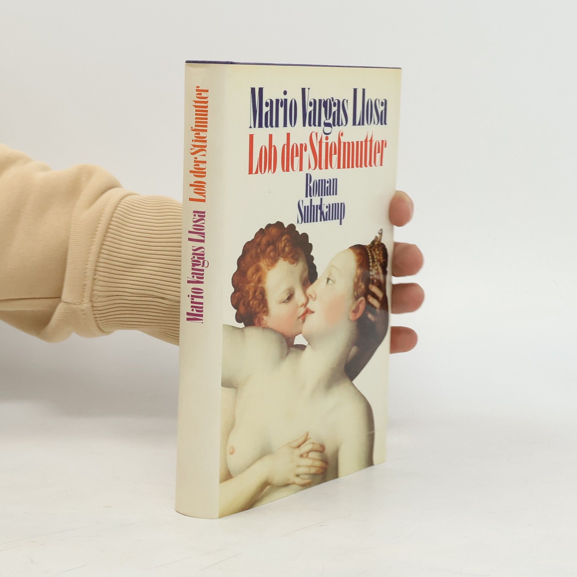 Mario Vargas Llosa Lob der Stiefmutter
