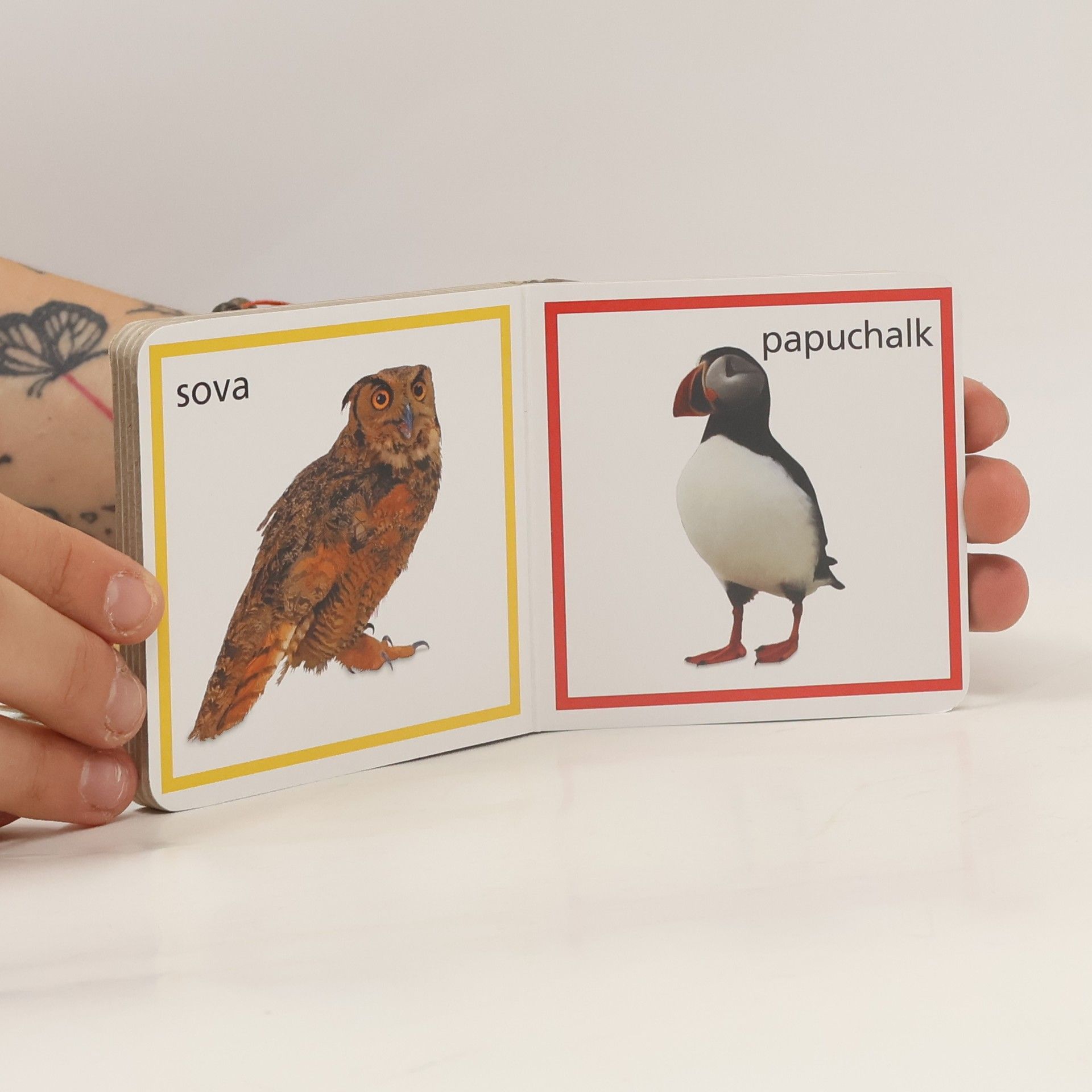 Kolektiv autorů Moje chytrá knihovnička: Zvířata