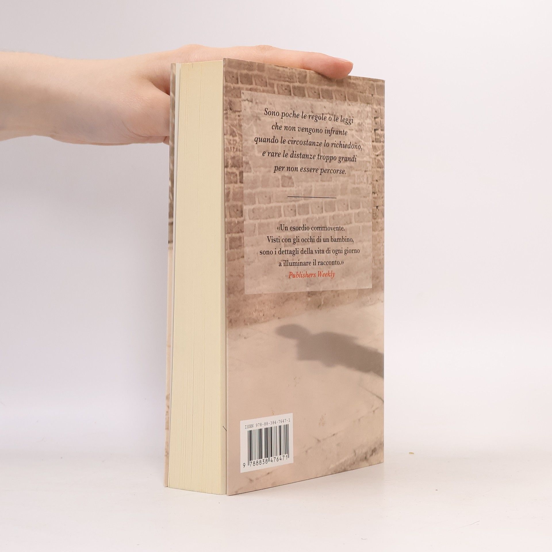 Harry Bernstein Il muro invisibile