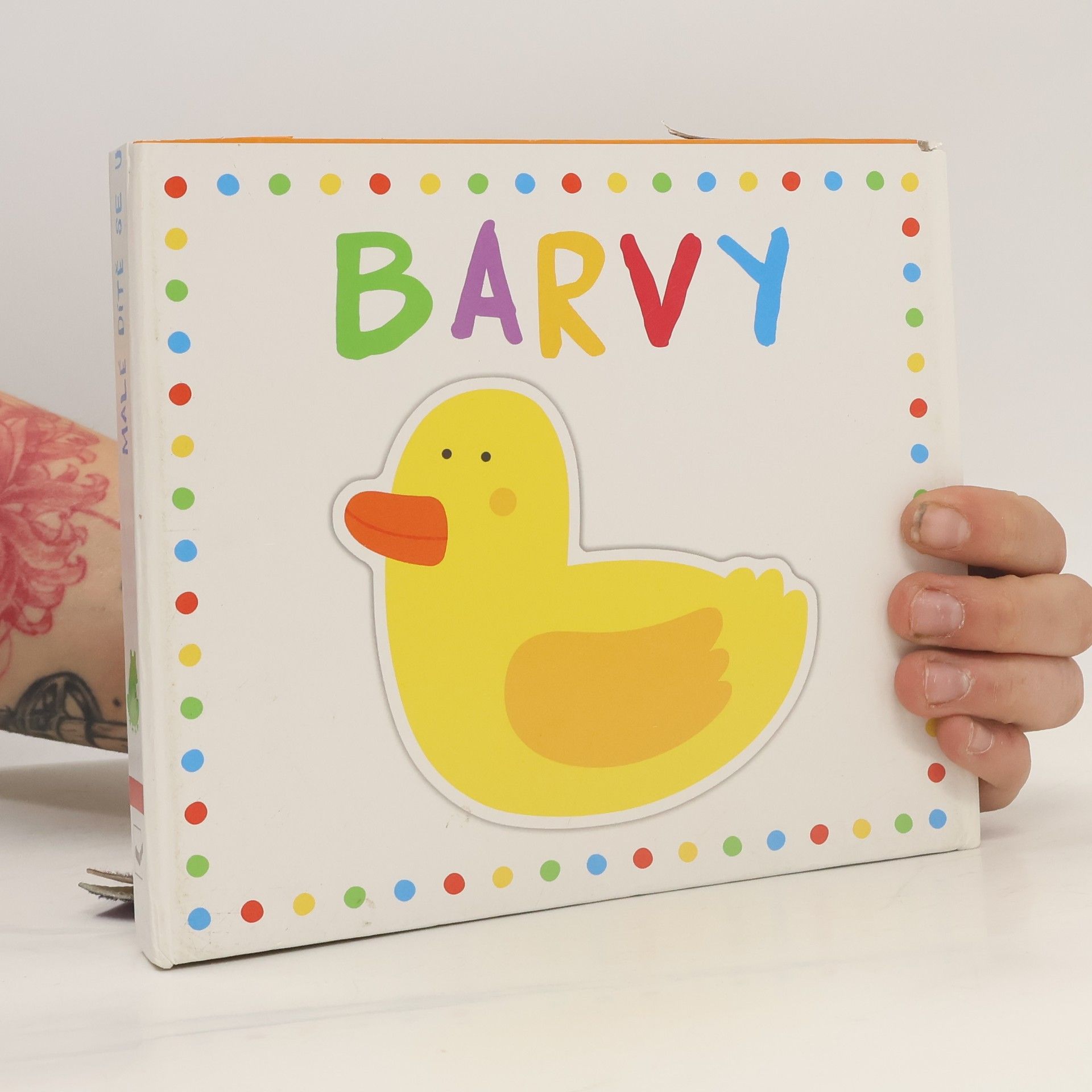 Rhea Gaughan Malé dítě se učí barvy