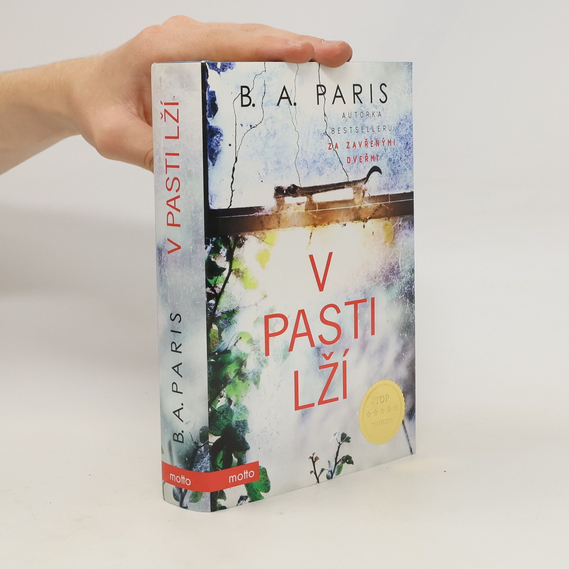B. A. Paris V pasti lží