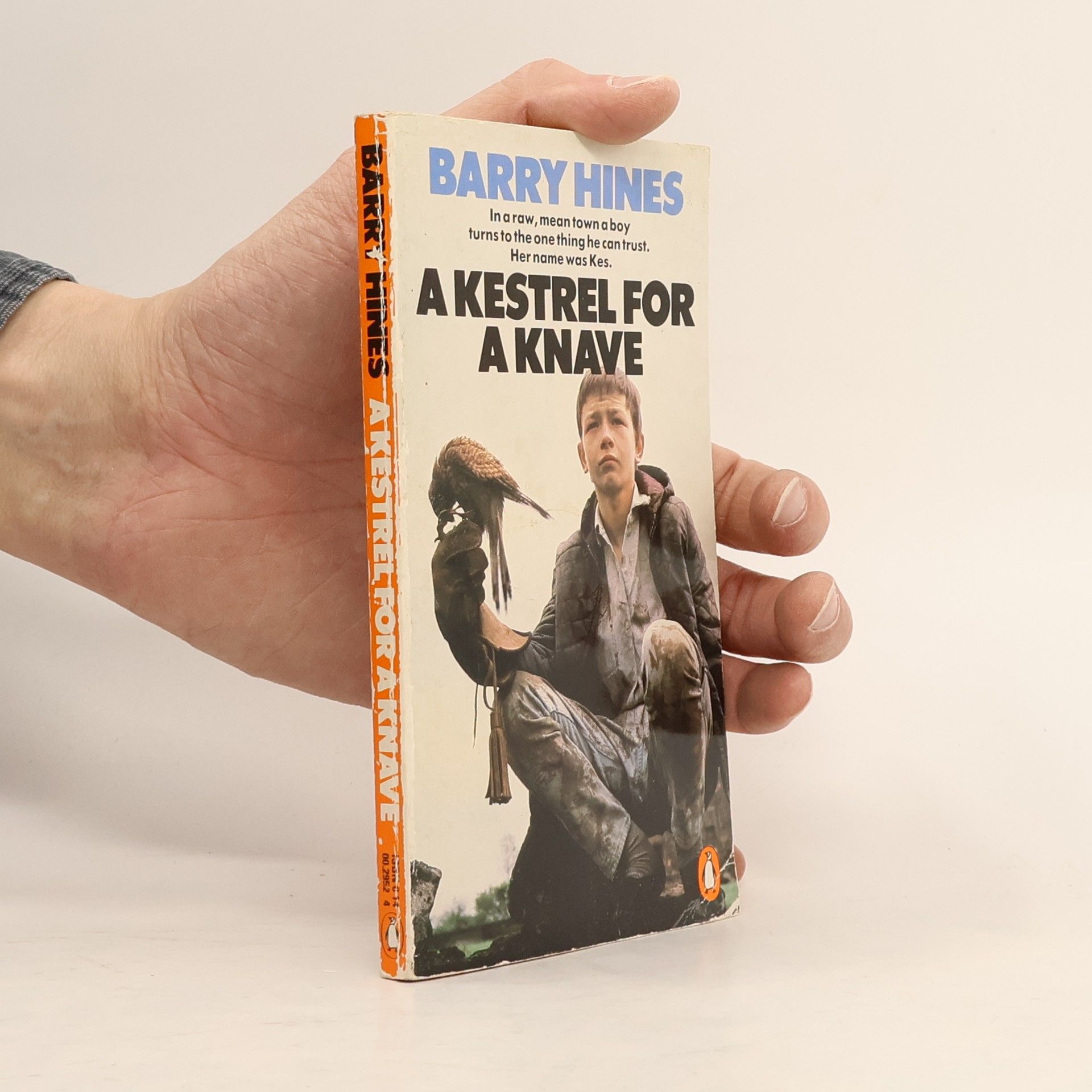 Barry Hines A kestrel for a knave