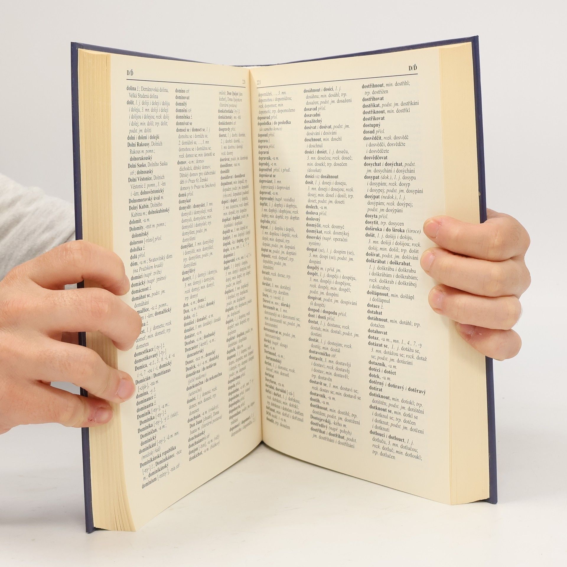 Autorenkollektiv Pravidla českého pravopisu s výkladem mluvnice