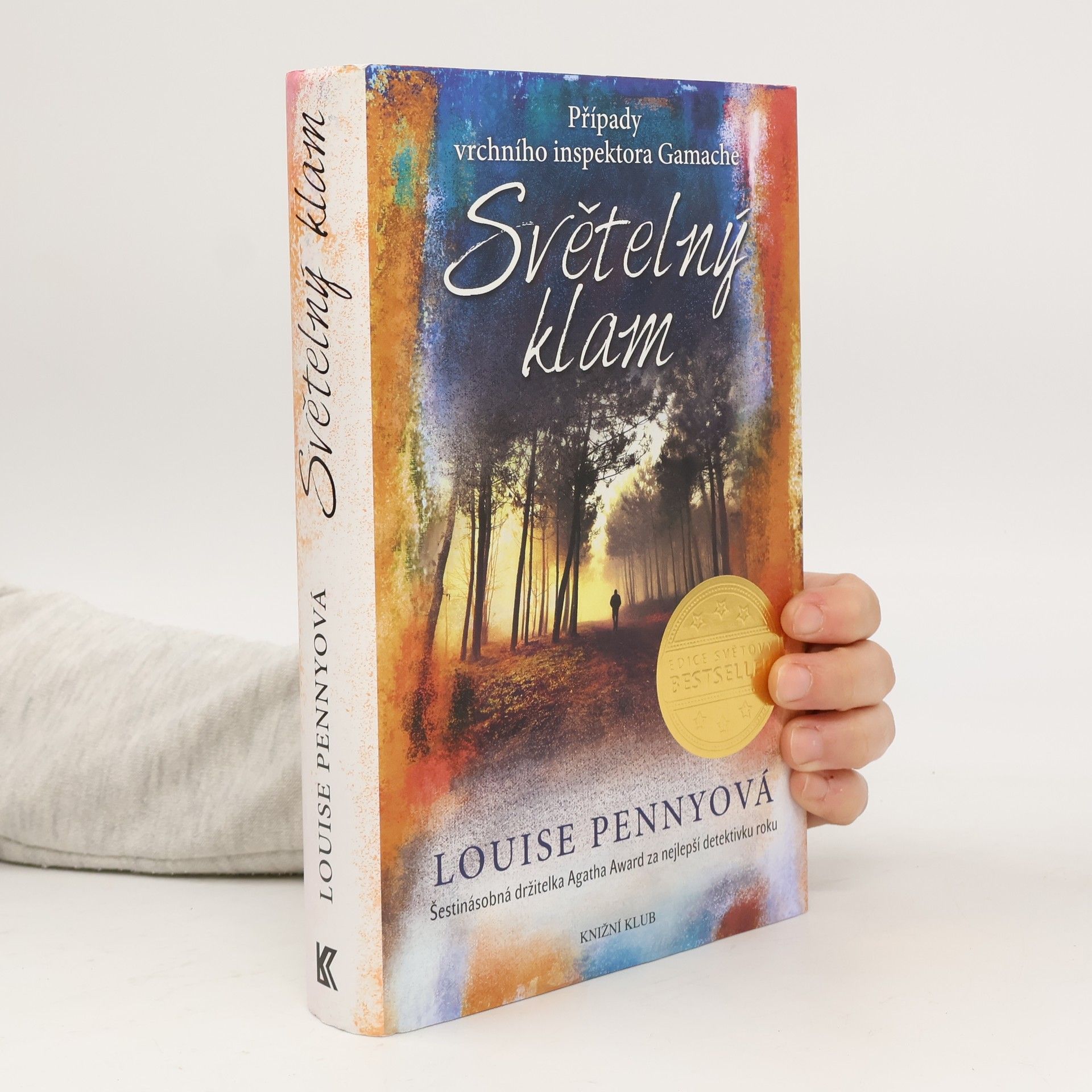 Louise Penny Světelný klam